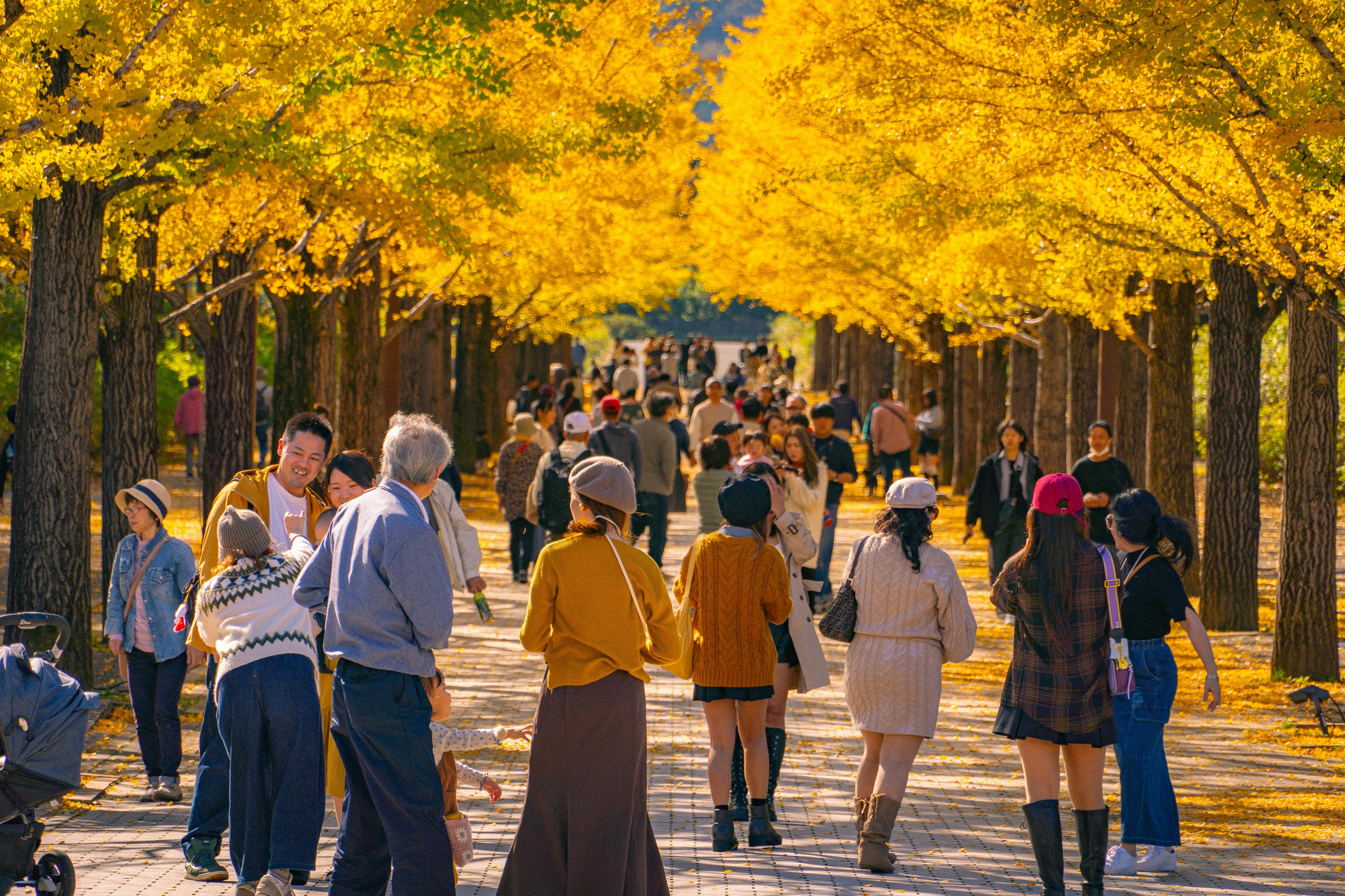 10 Fun Facts About FSU Campus Life Traditions