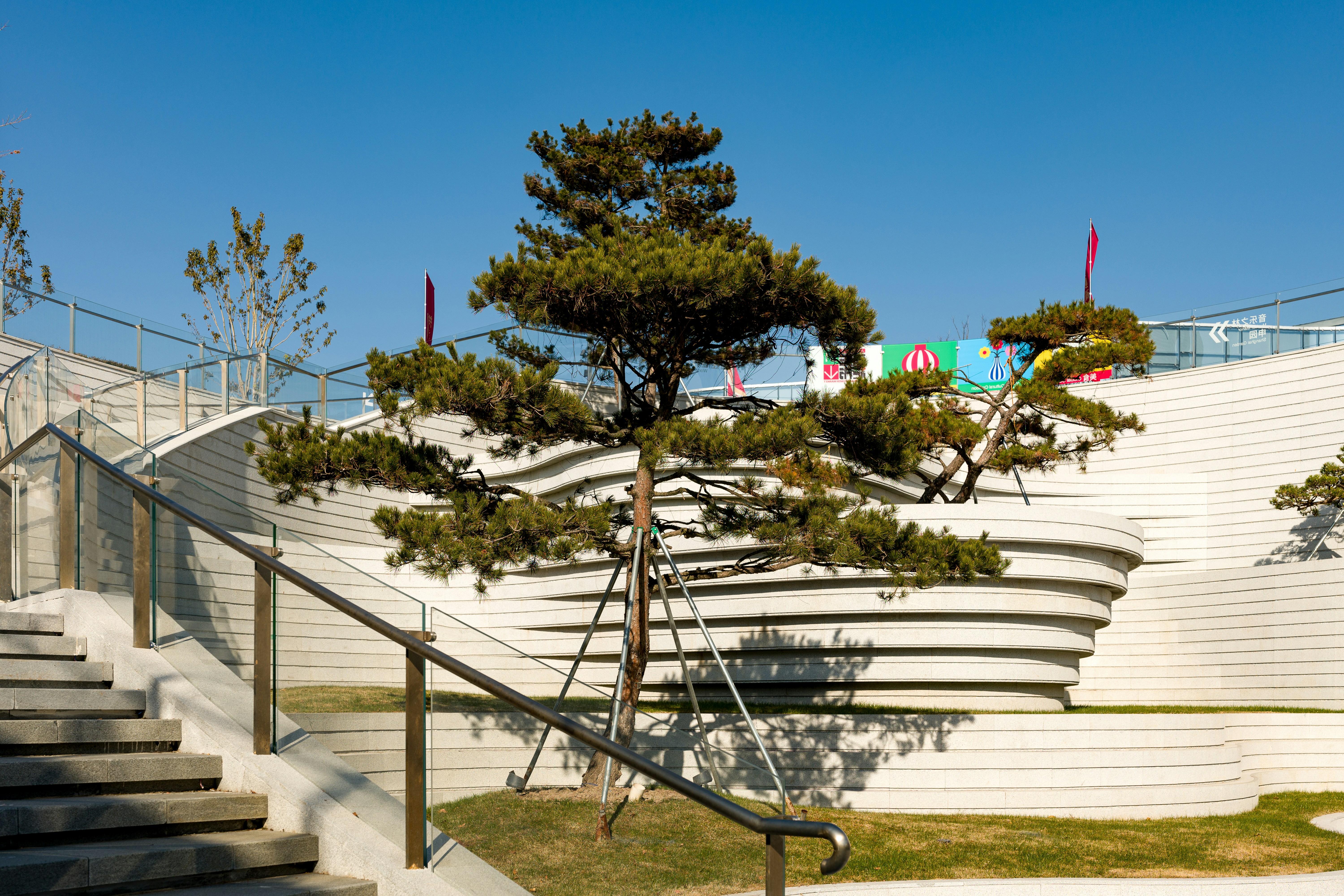 A tree in front of a building with stairs