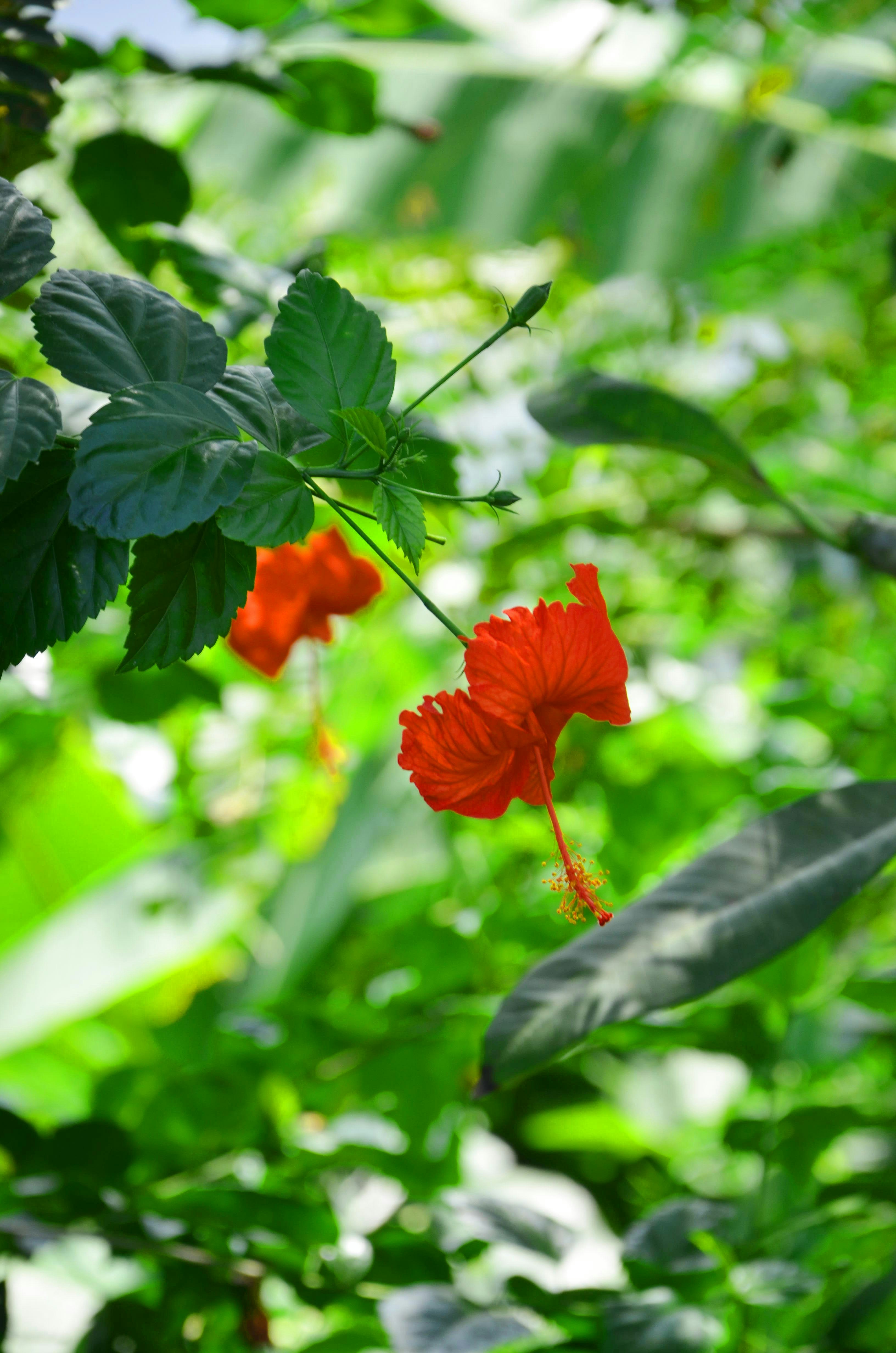 Photo by hasanuzzamanovi