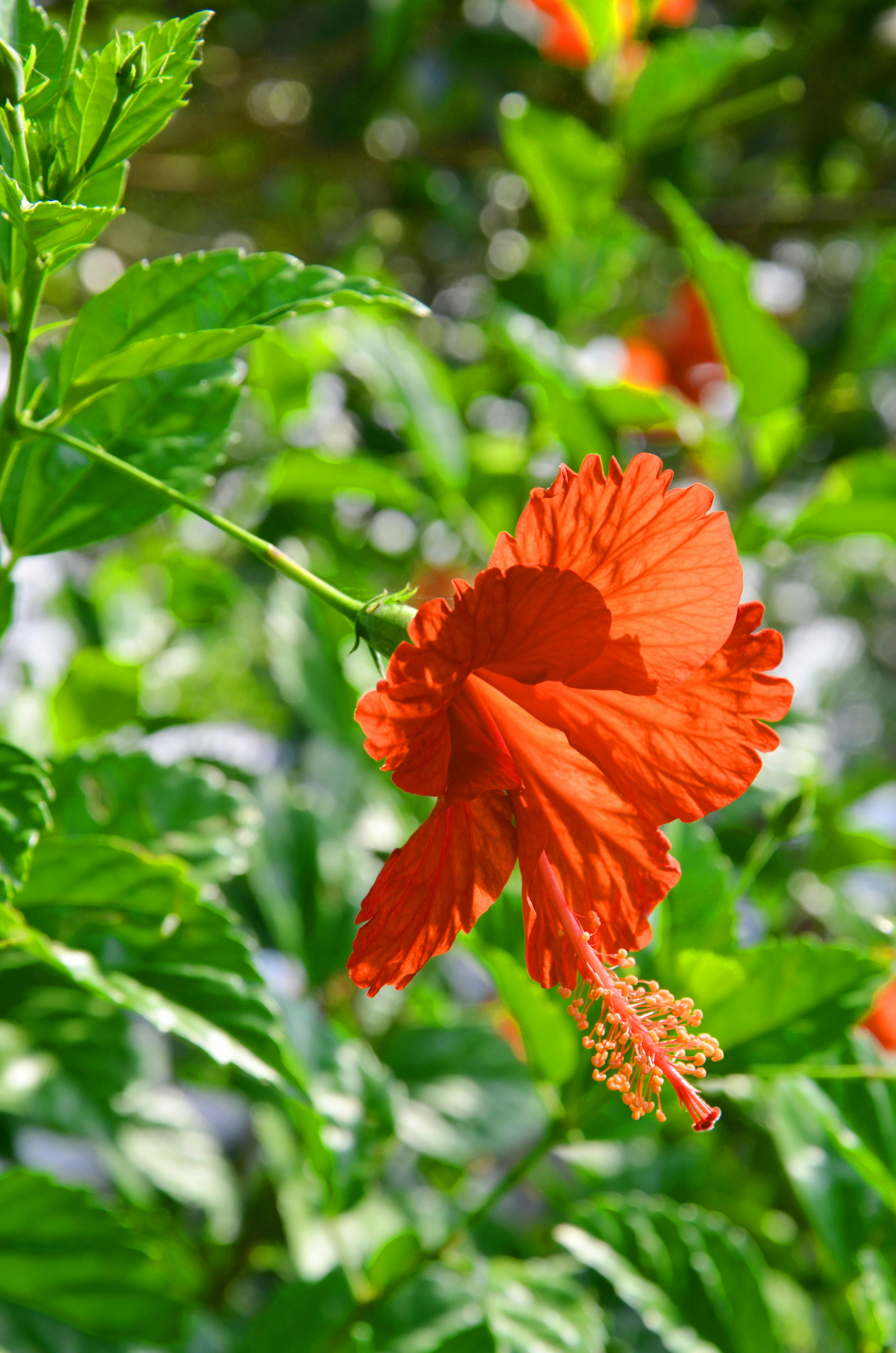 Photo by hasanuzzamanovi