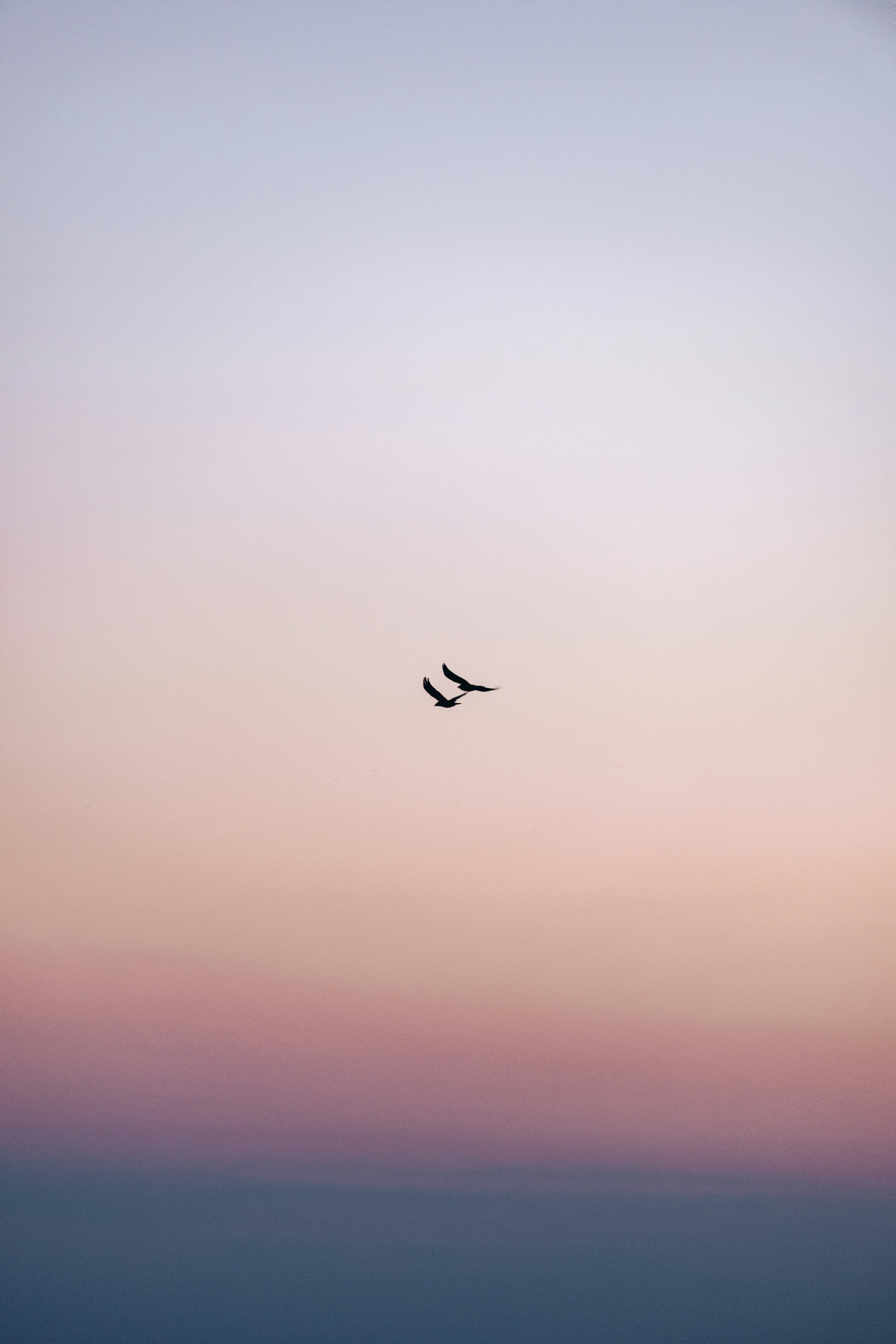 A couple of birds flying through a cloudy sky