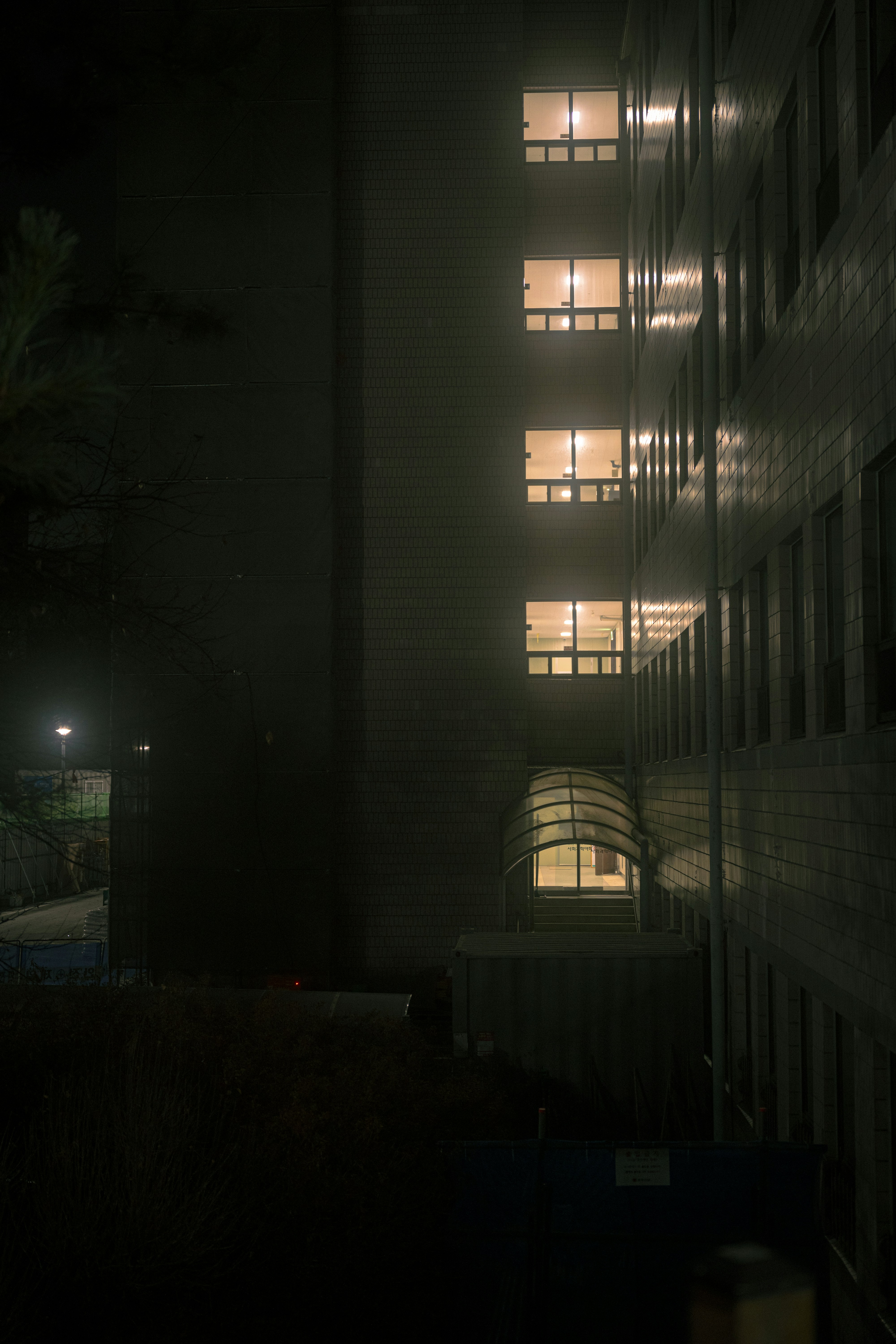 Photo by brother_yoon