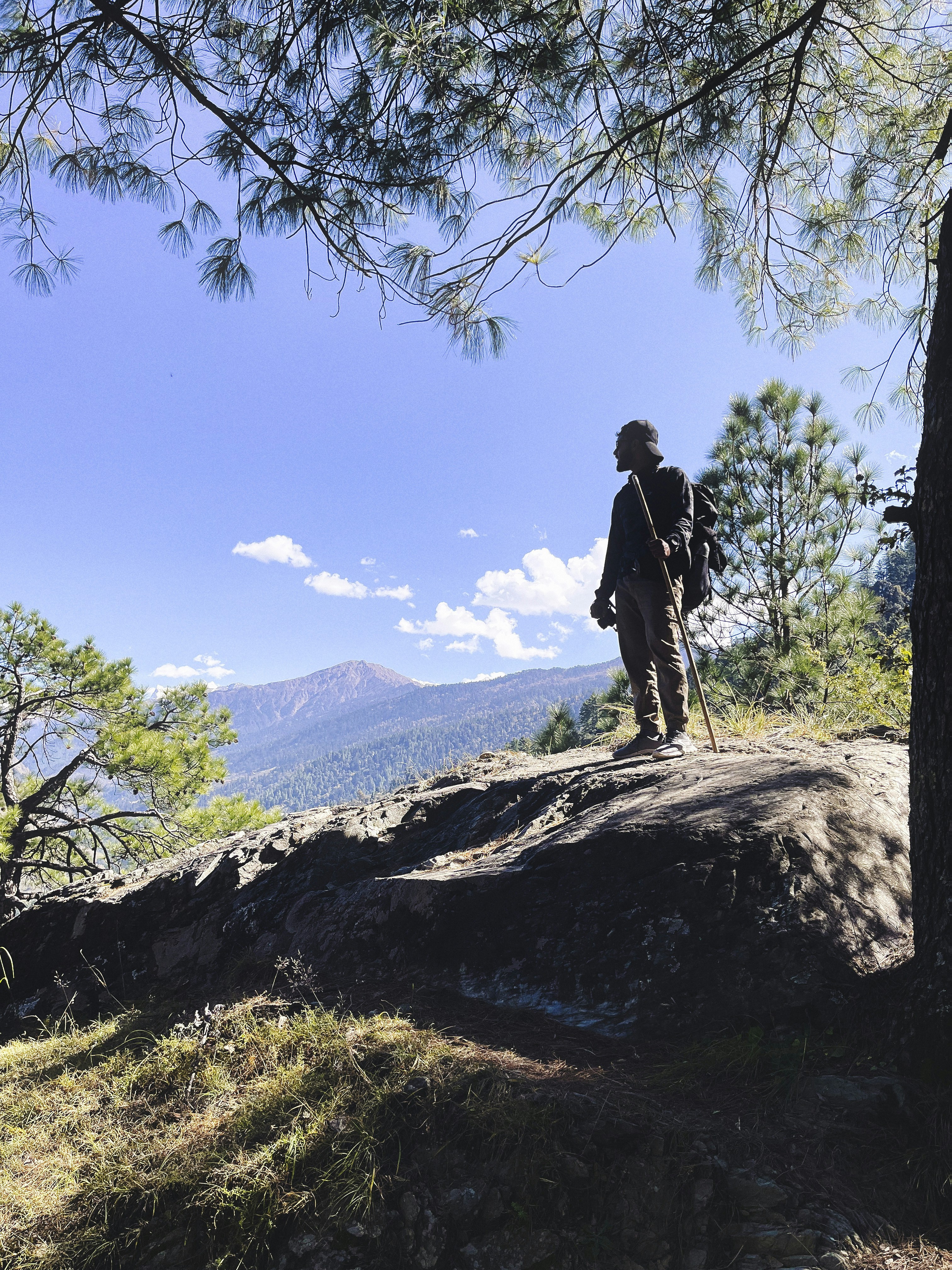 A man standing on top of a hill next to a tree