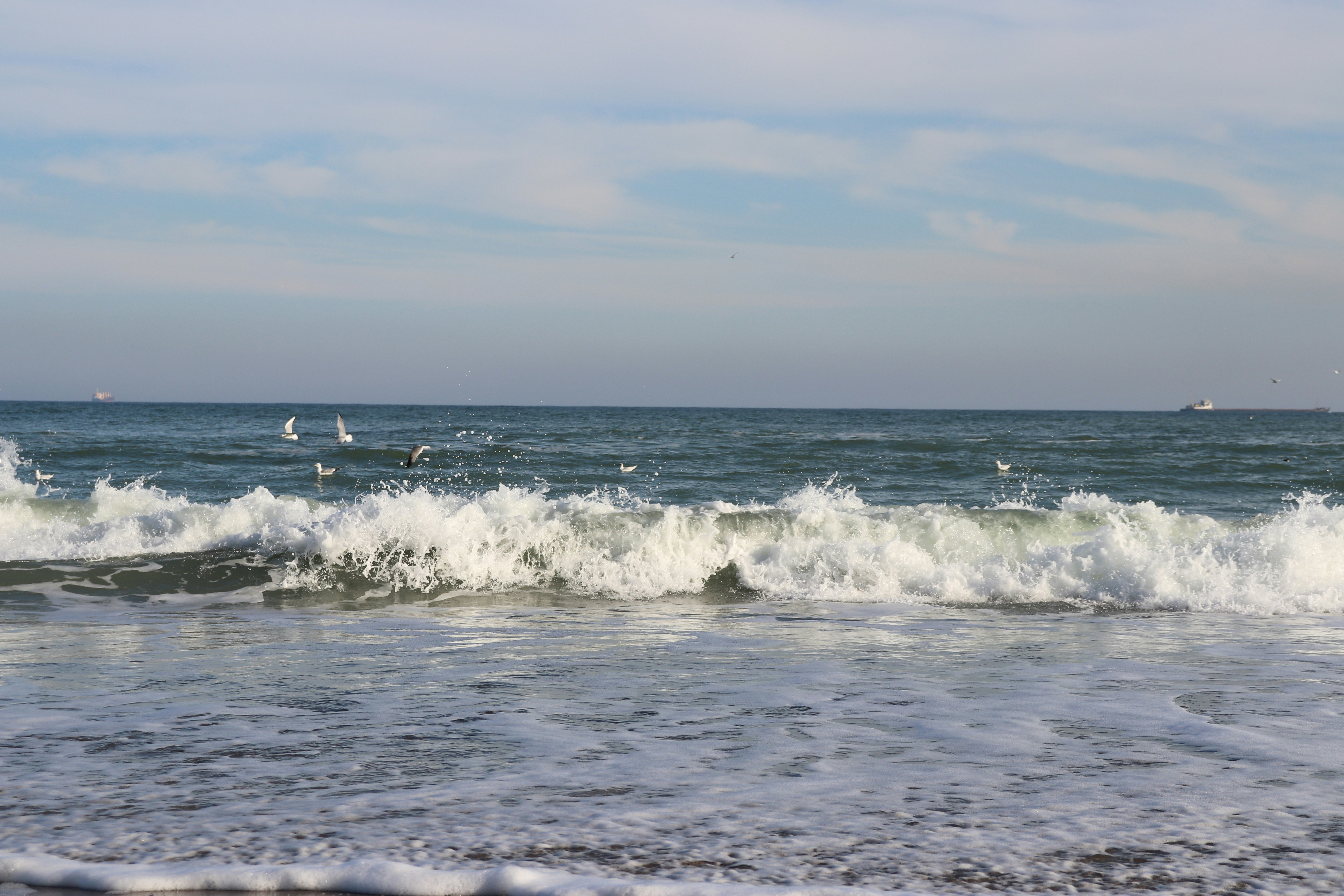 Photo by stasiaspark