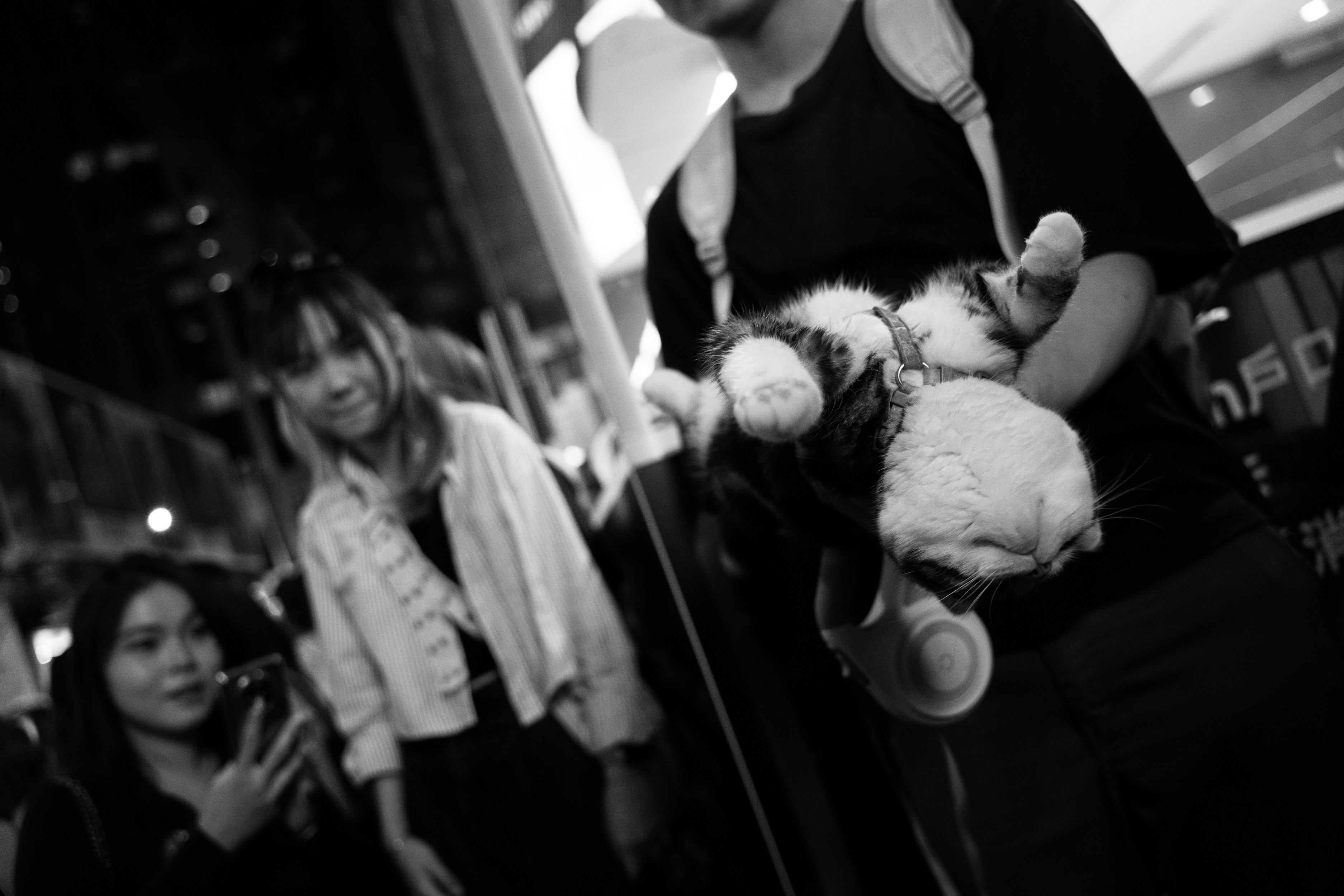 Sense the Unseen Hierarchies (image credits: unsplash)