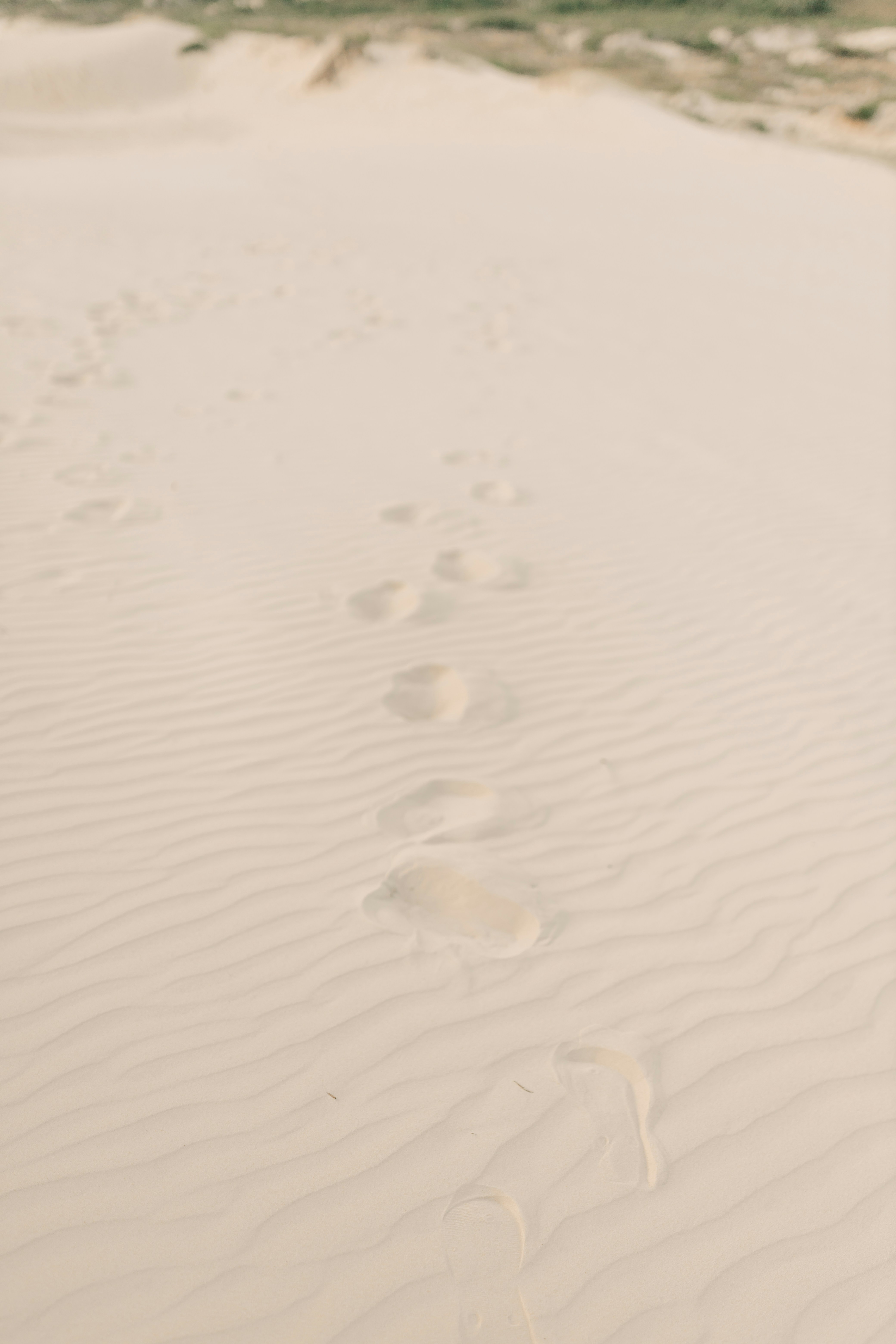 Photo by alexandermassph