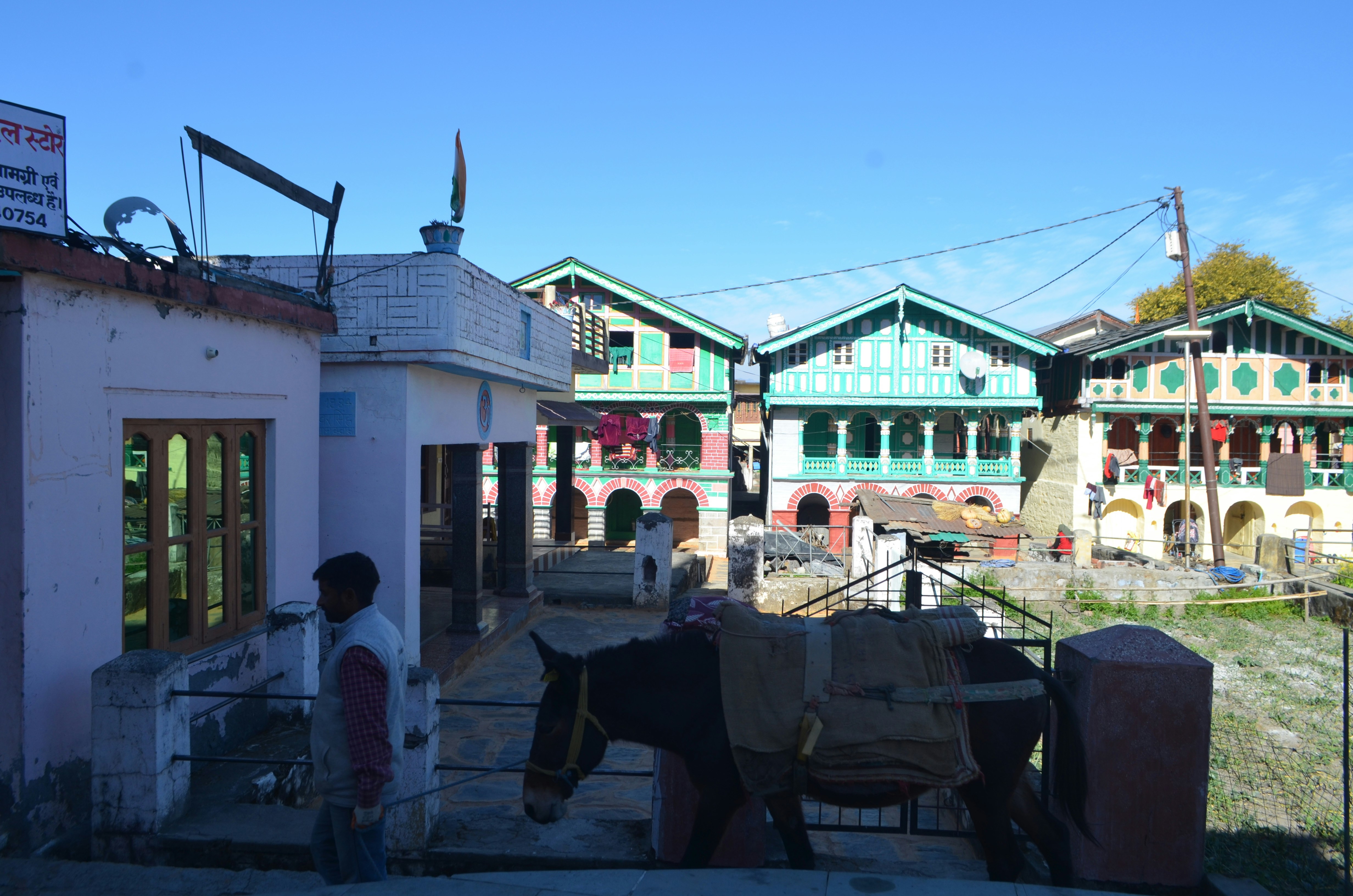 A horse that is standing in the dirt