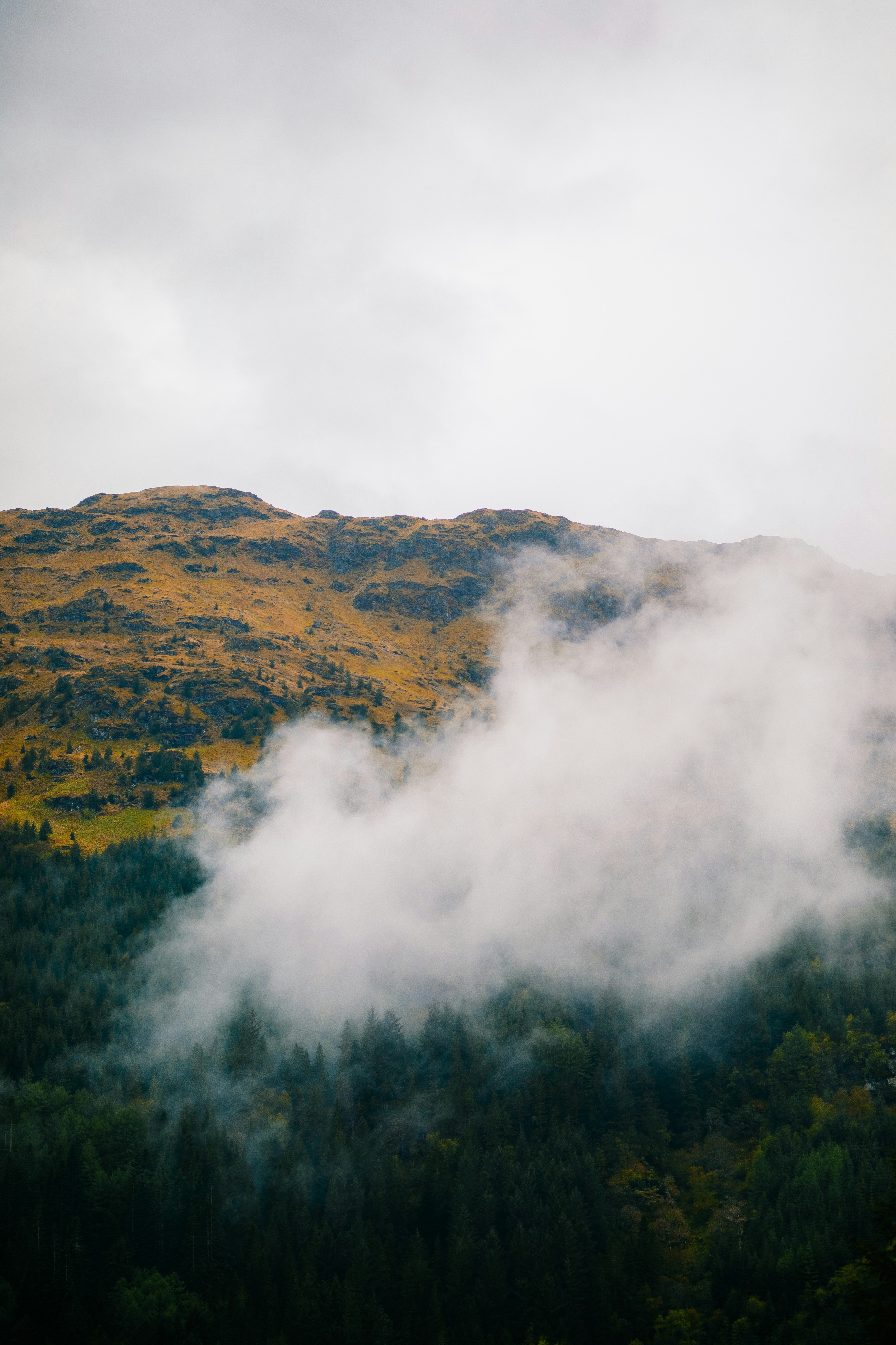 Photo by aleksandraboguslawska