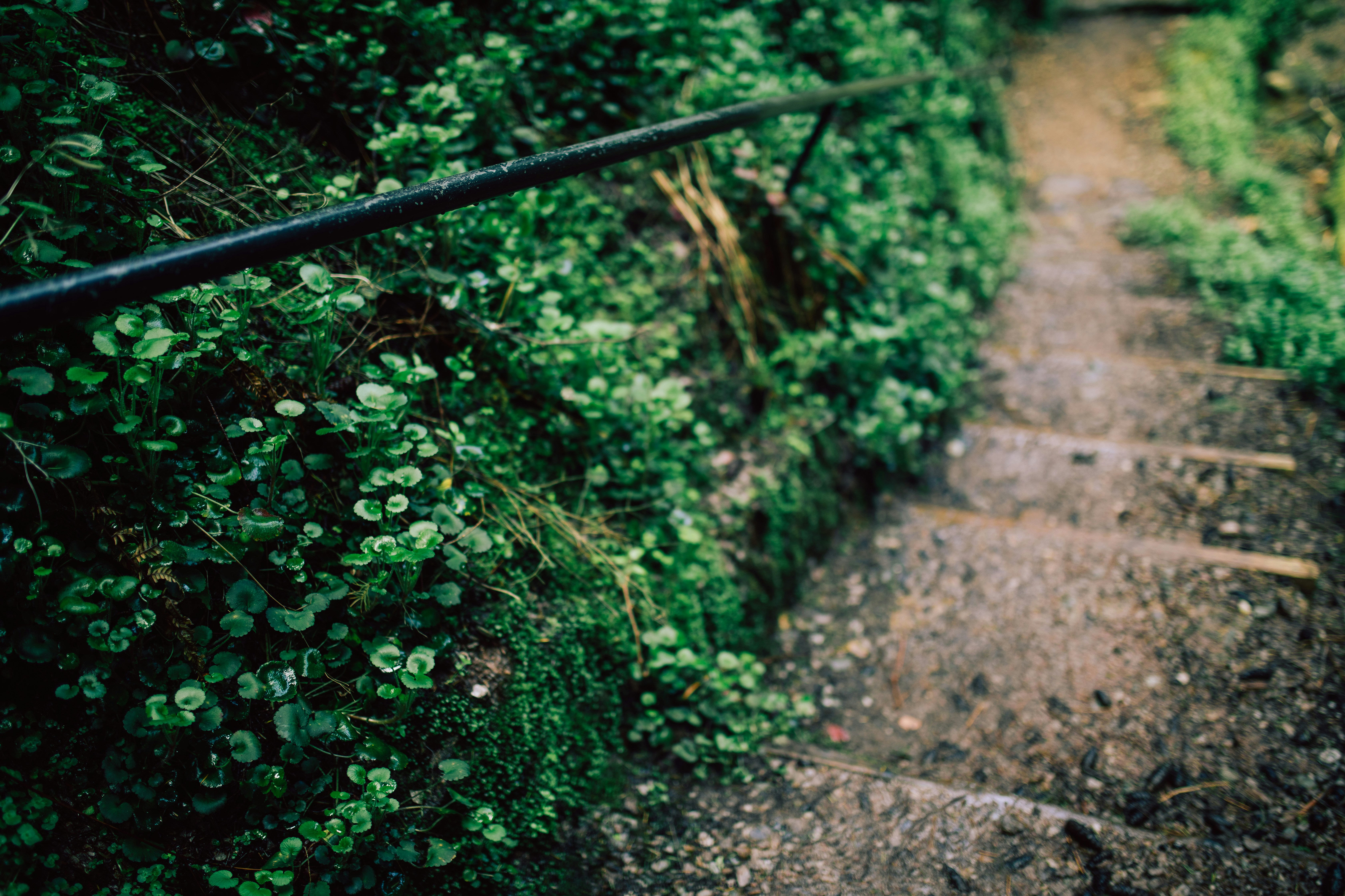 Photo by aleksandraboguslawska