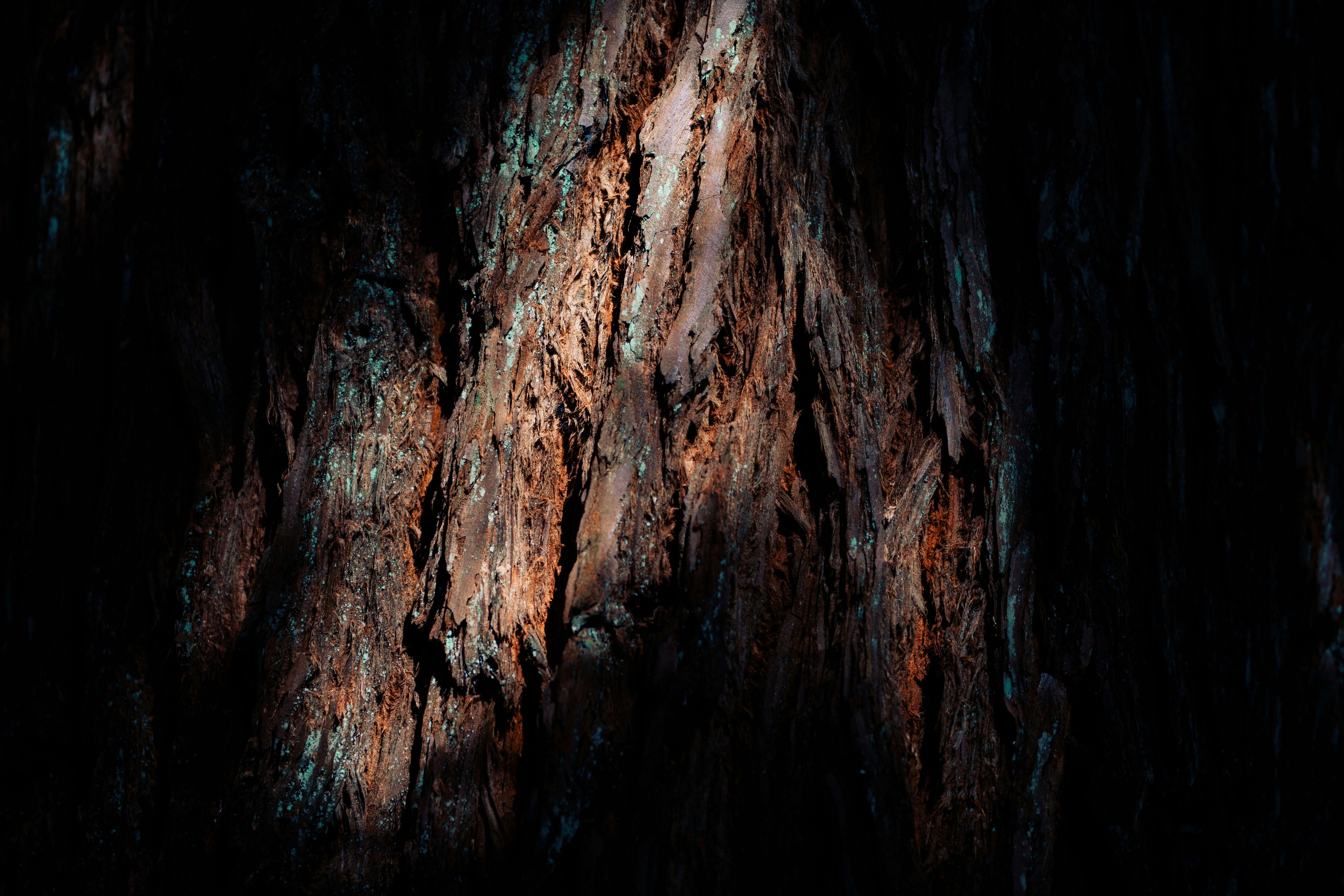 Photo by aleksandraboguslawska