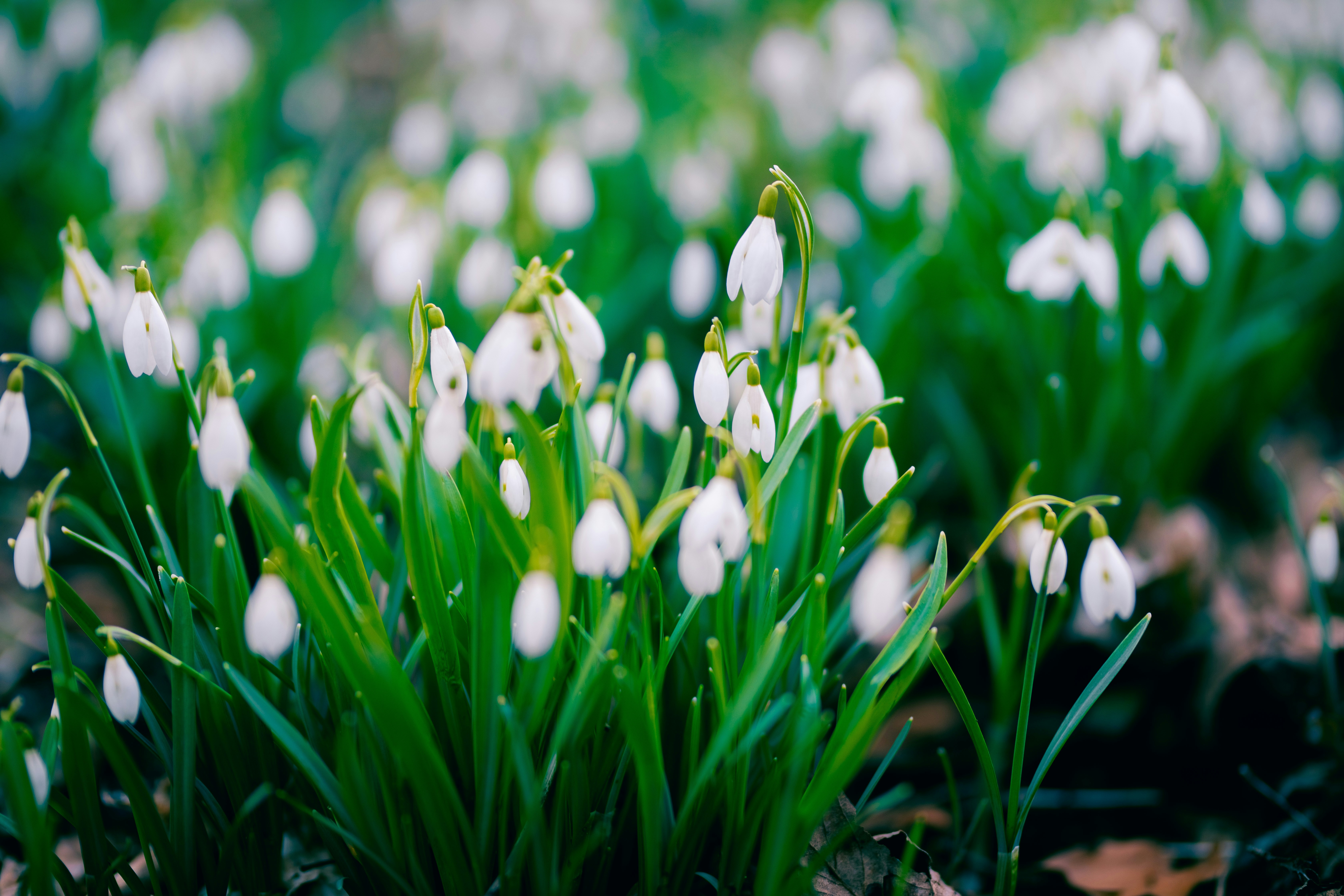 Photo by aleksandraboguslawska