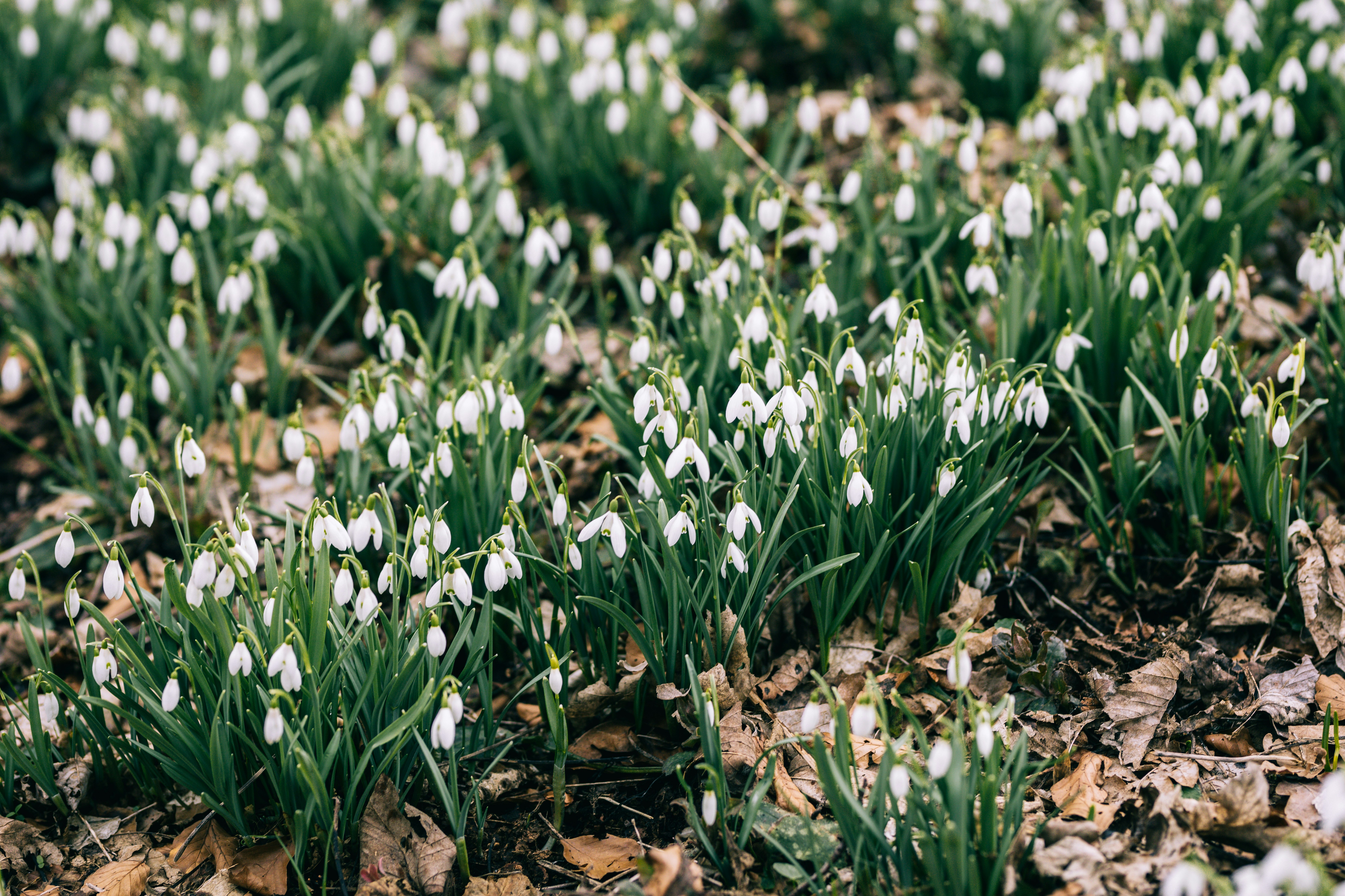 Photo by aleksandraboguslawska