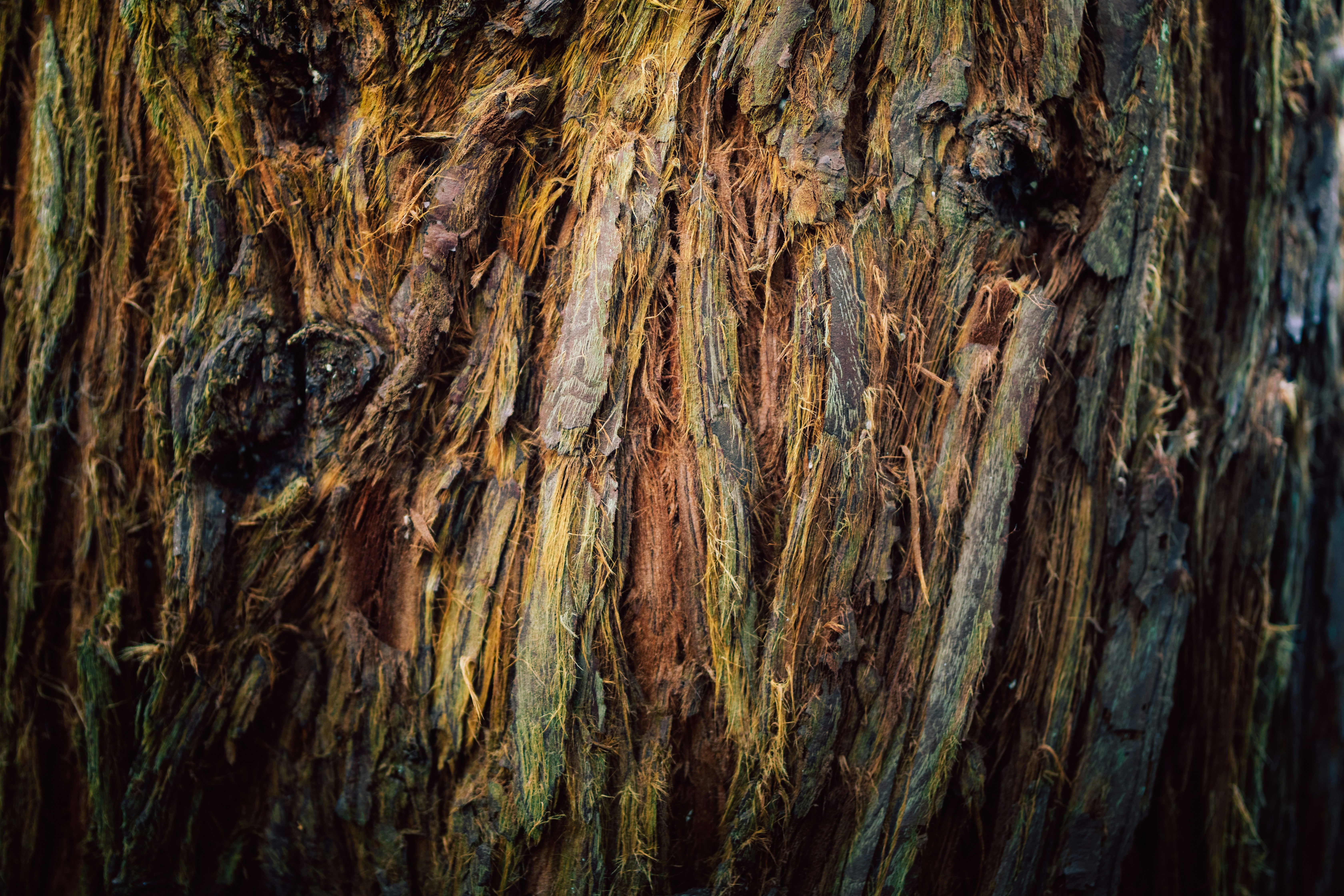 Photo by aleksandraboguslawska