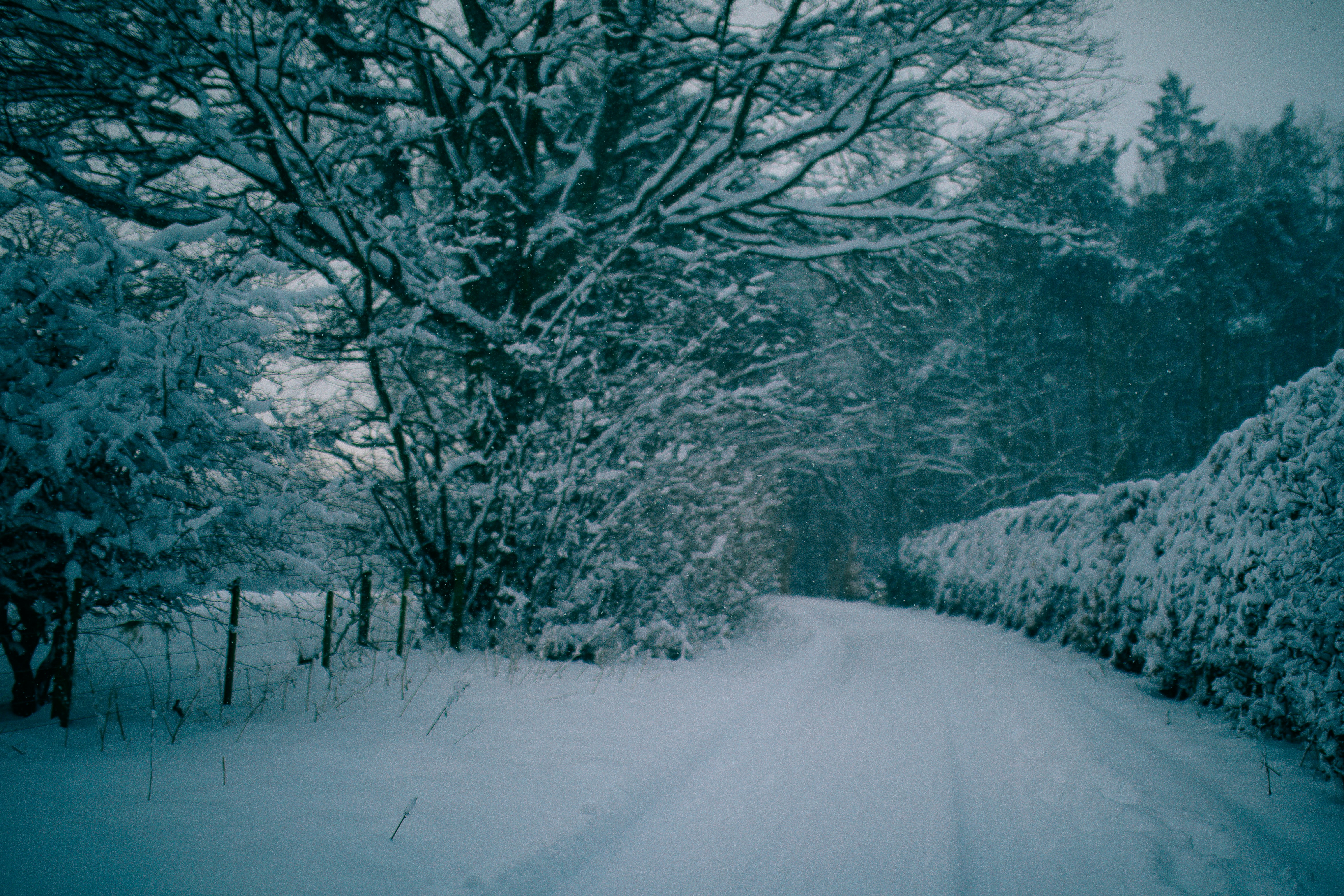 Photo by aleksandraboguslawska