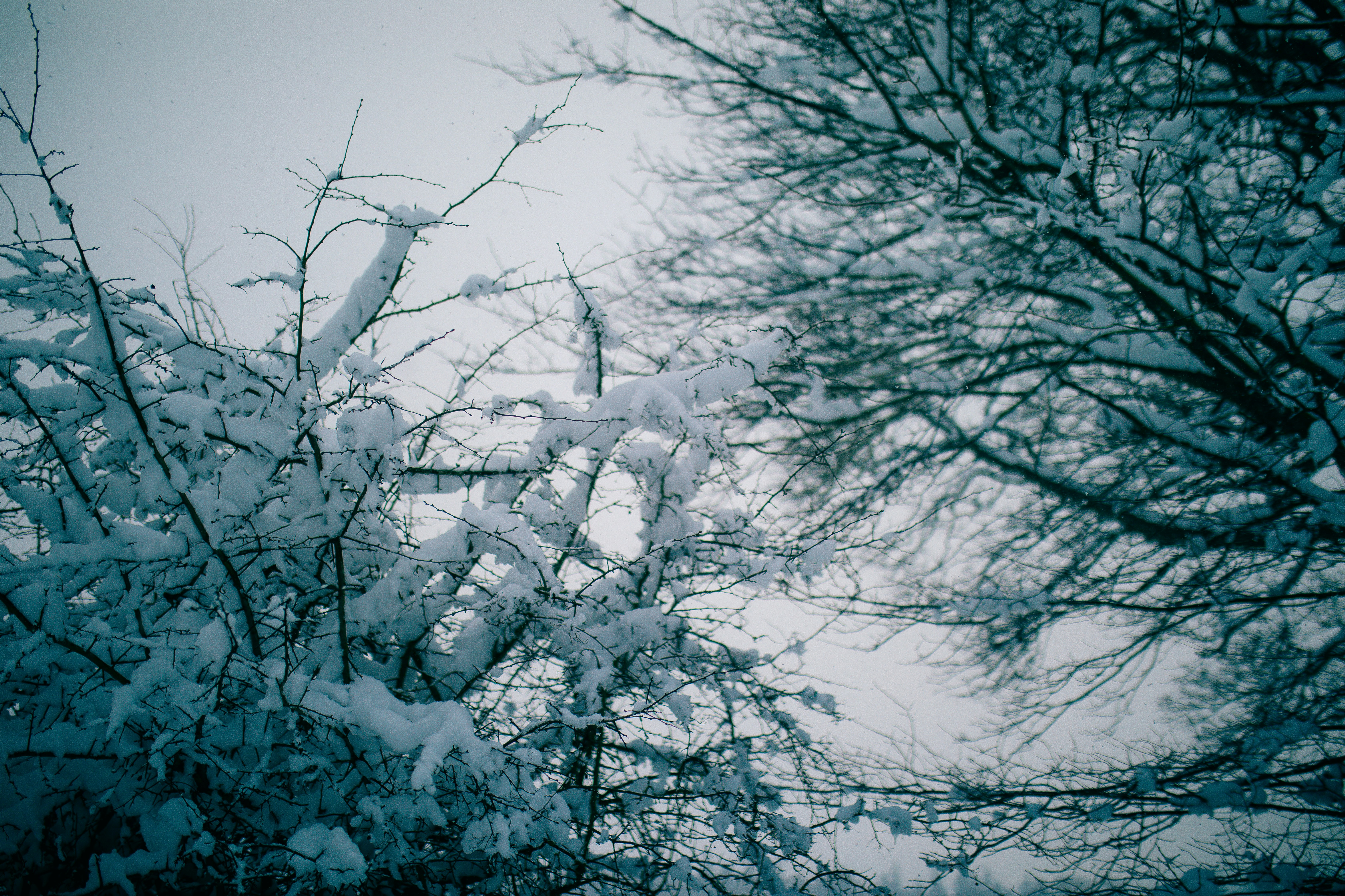 Photo by aleksandraboguslawska