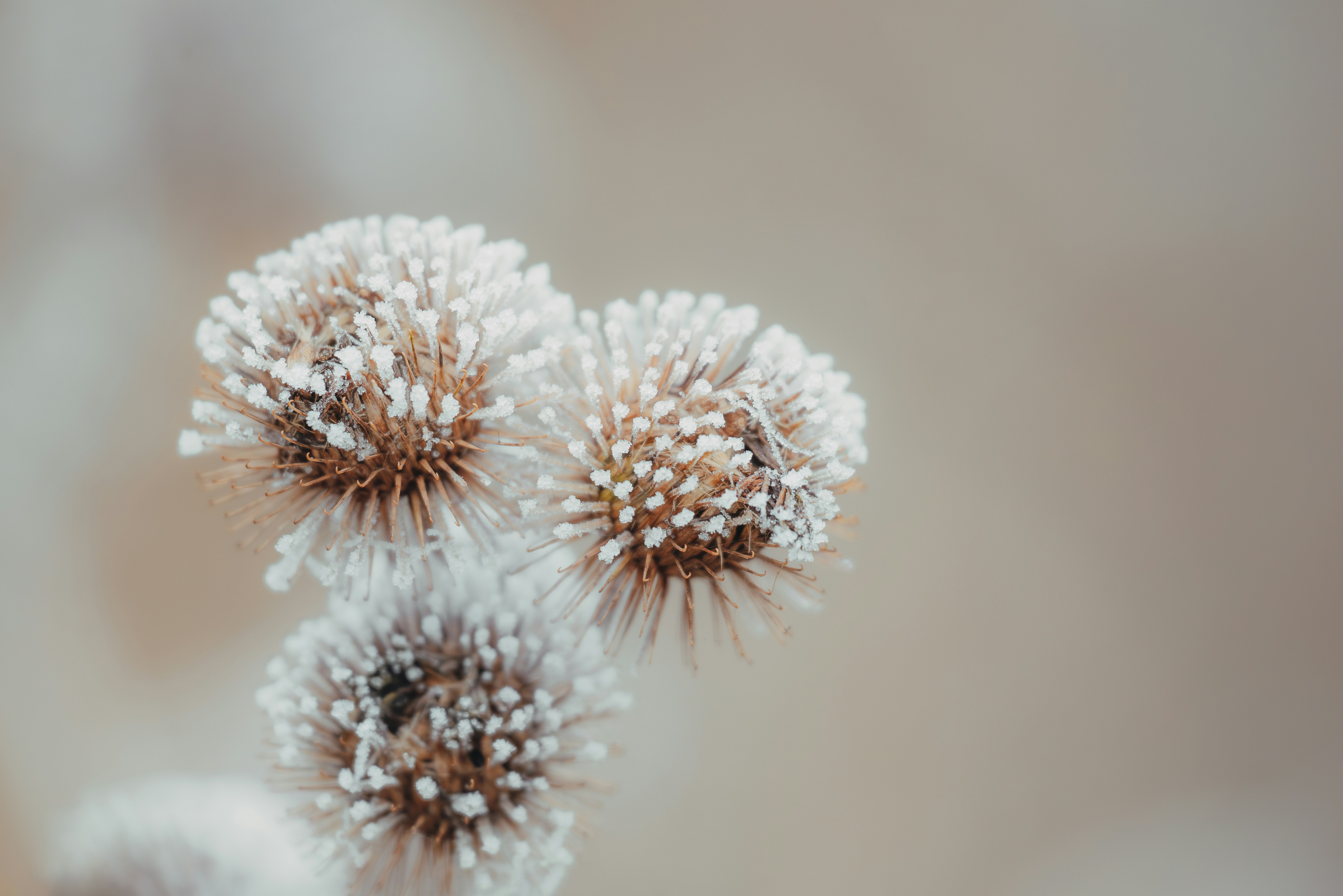 Photo by jetztabertempo