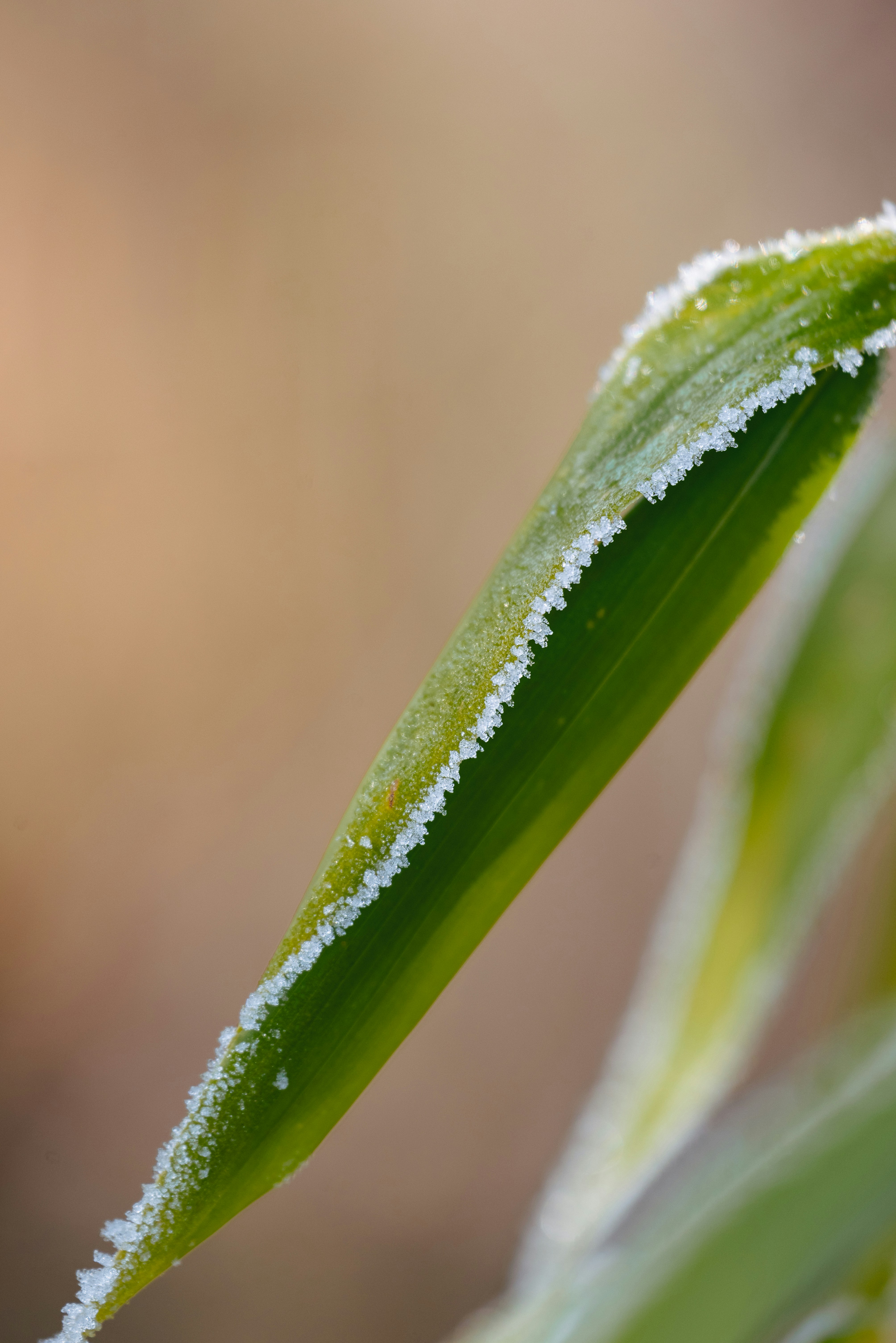 Photo by jetztabertempo