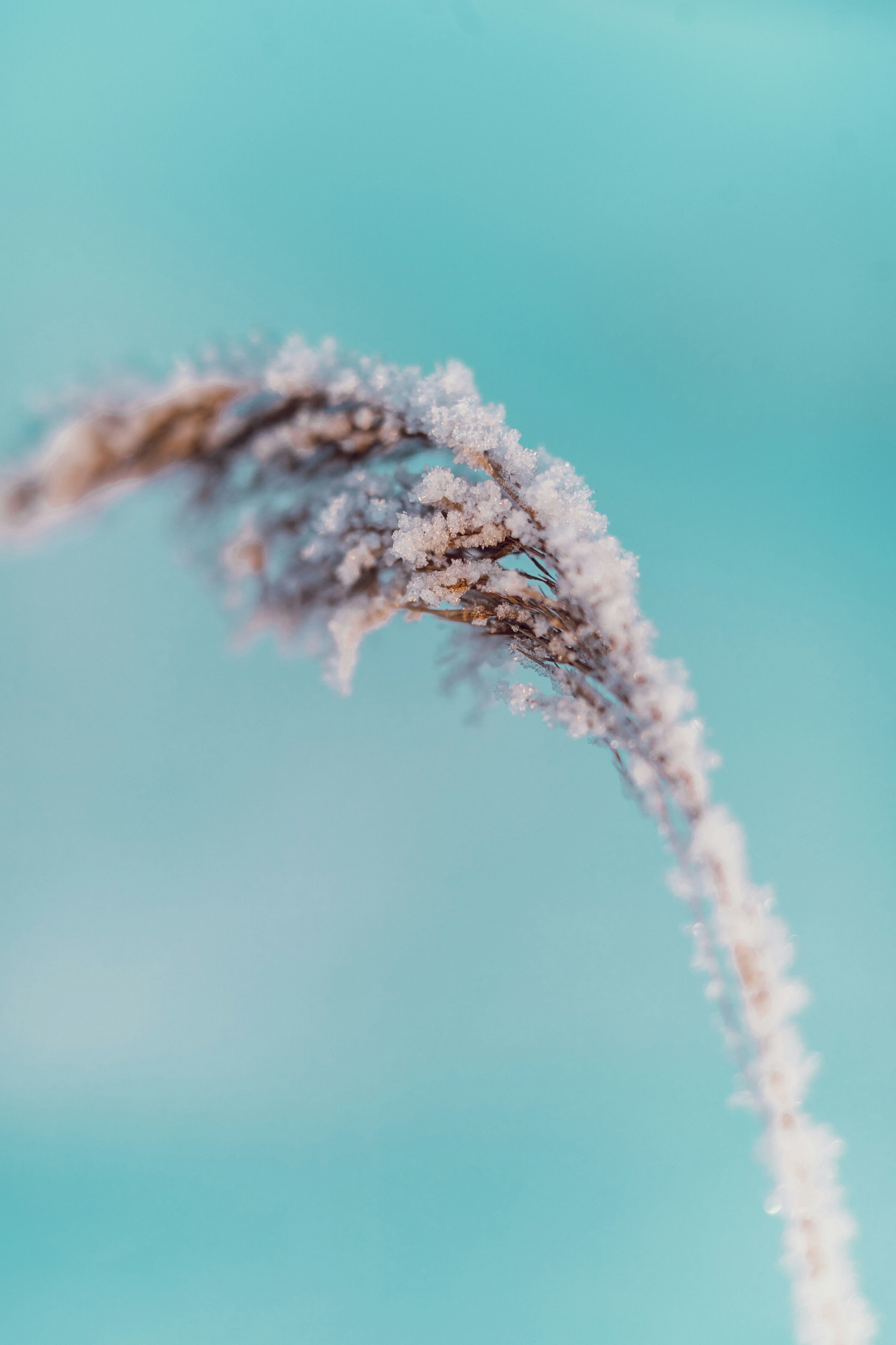 Photo by anamnesis33