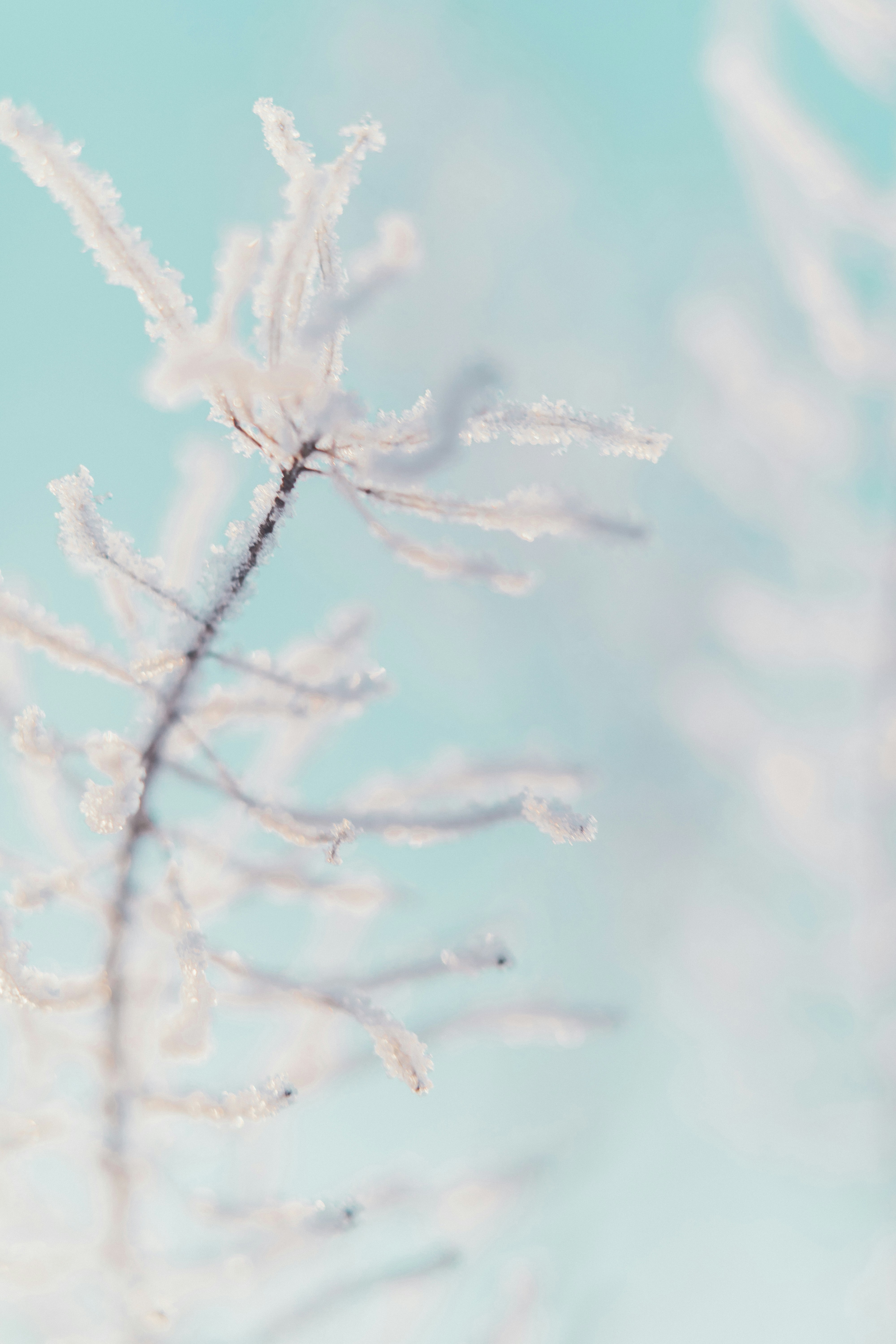 Photo by anamnesis33