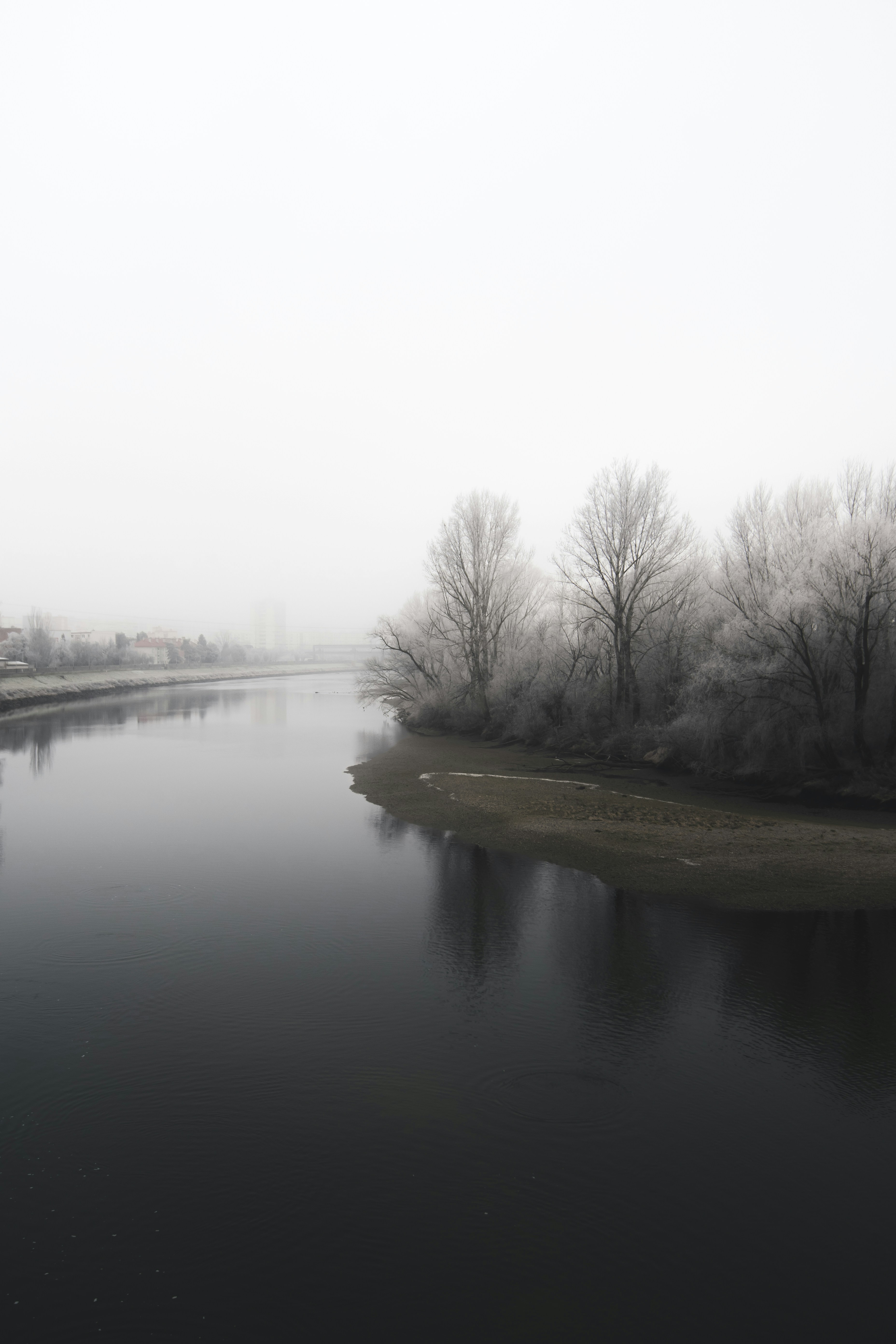 A body of water surrounded by trees in the fog