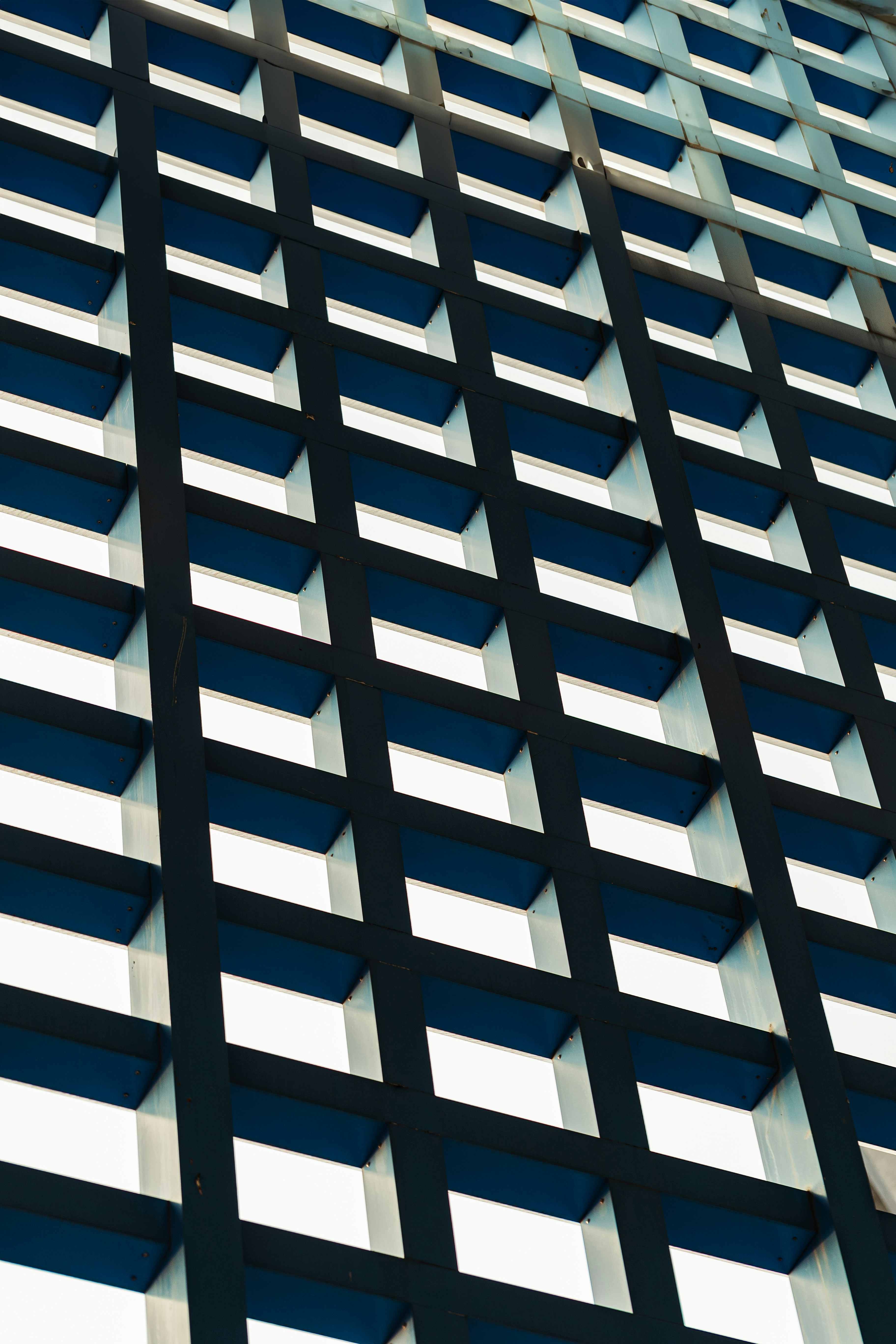 Photo by hieuanhcauam