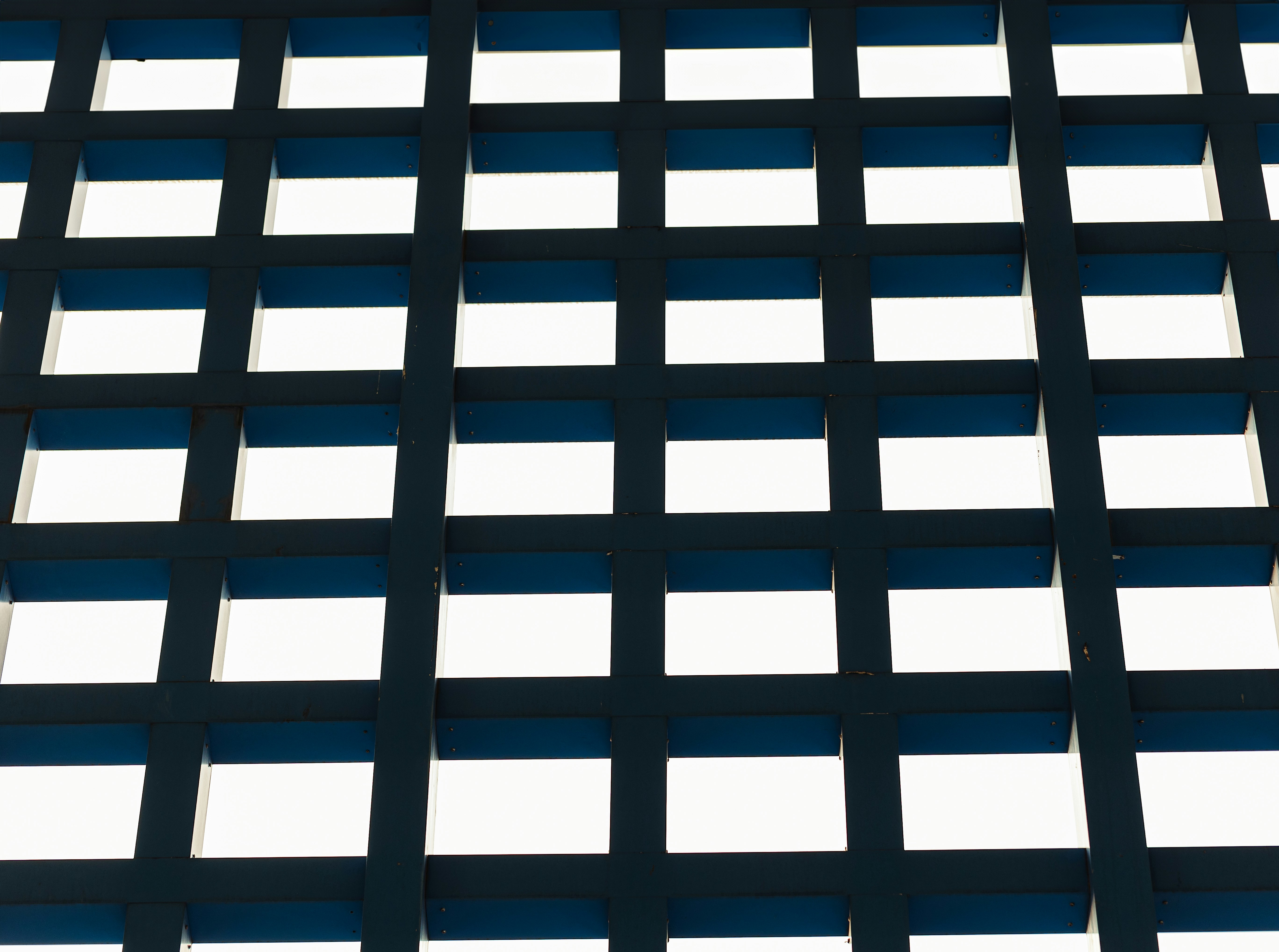 Photo by hieuanhcauam