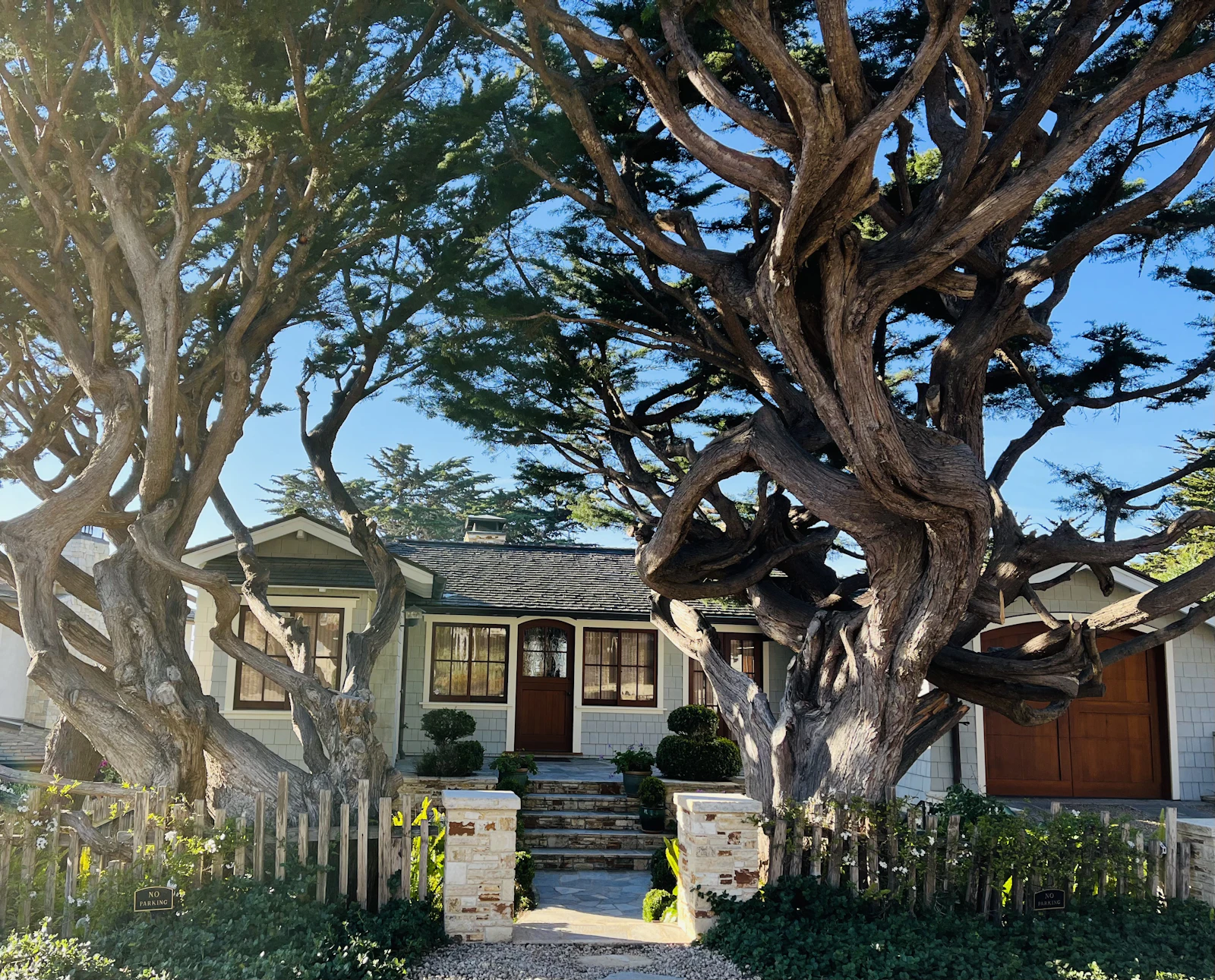 Craftsman-style home with a large shade tree, similar to homes selling across Nevada County