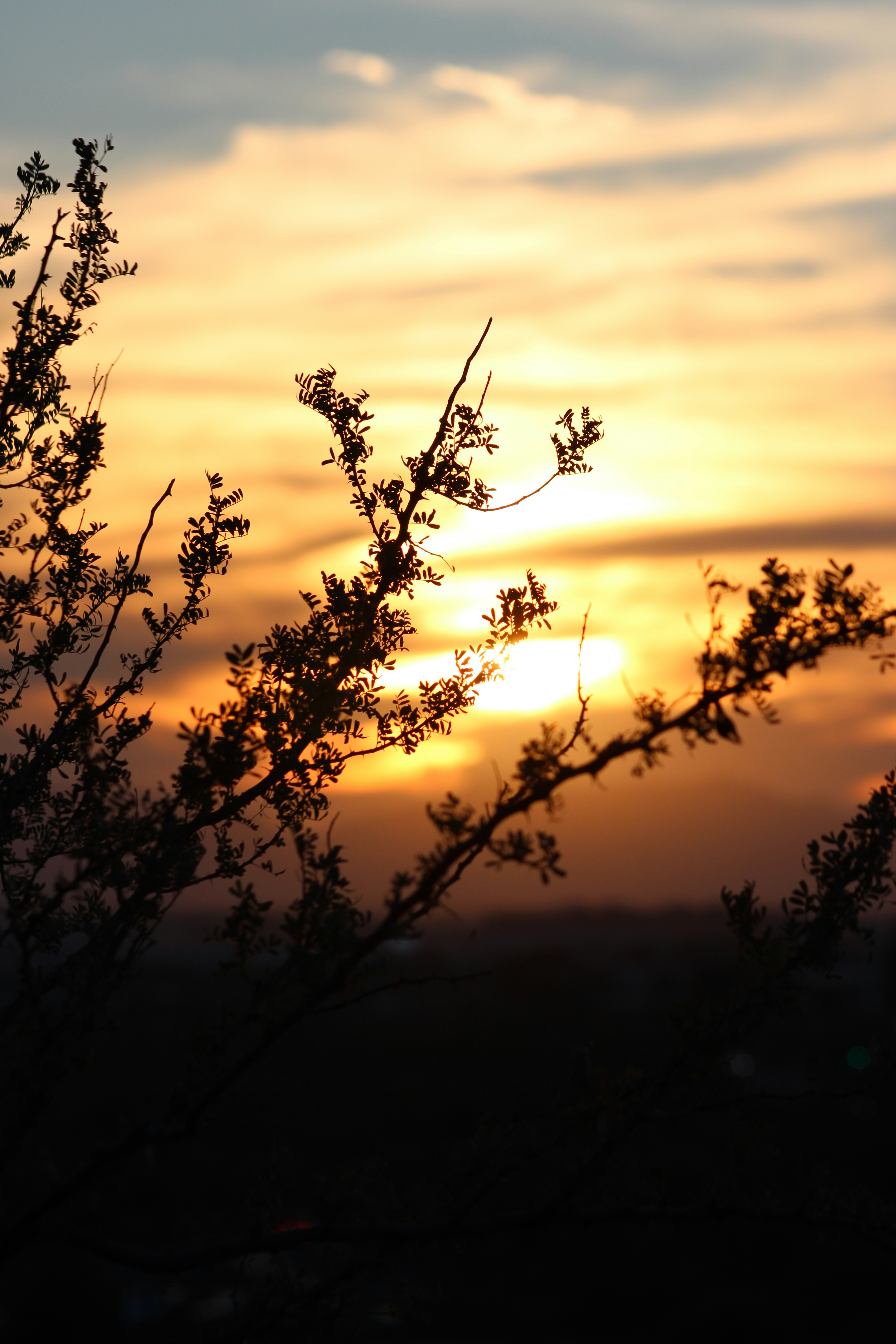 Photo by bridjett_renae_photography