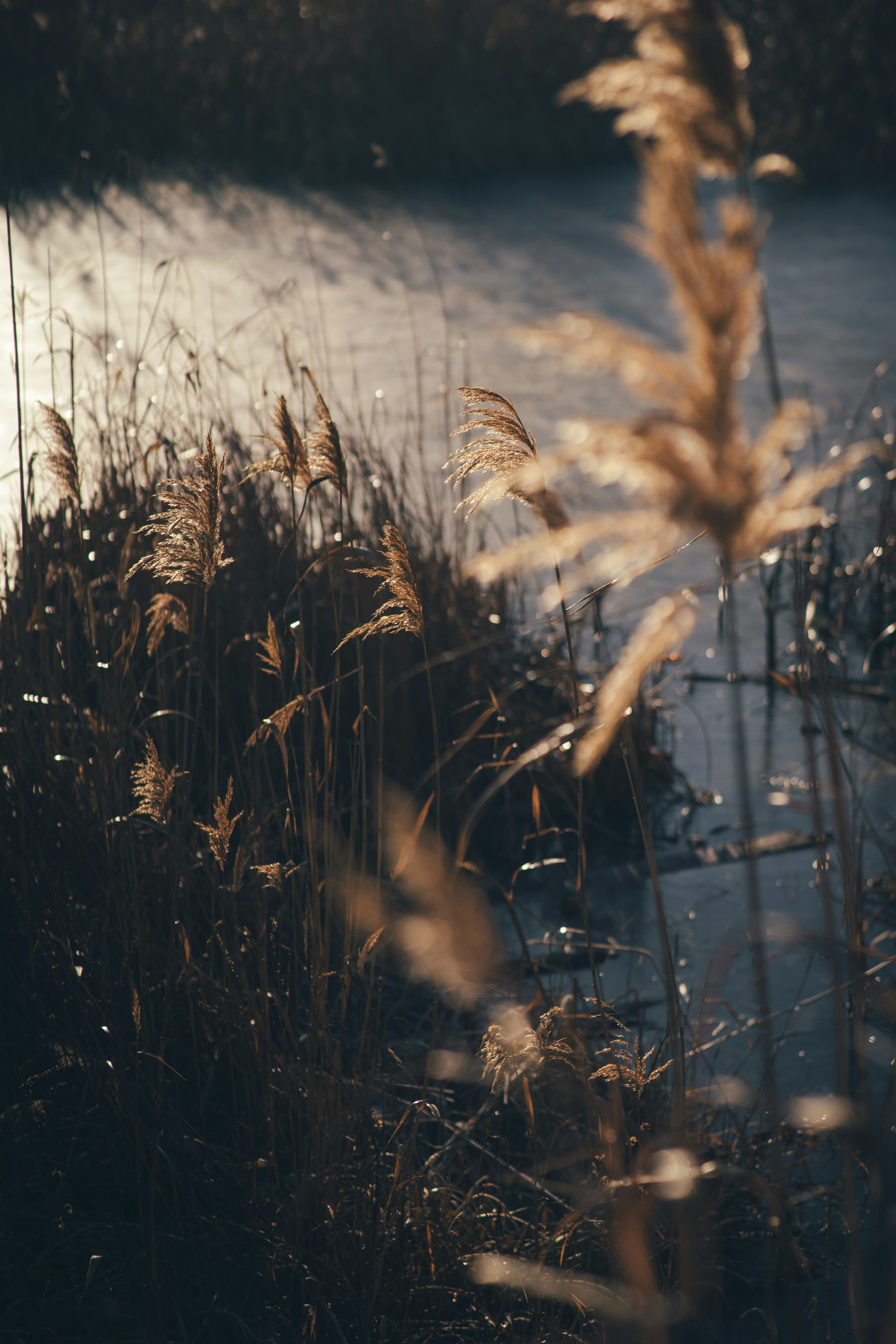 Photo by onmywayhome