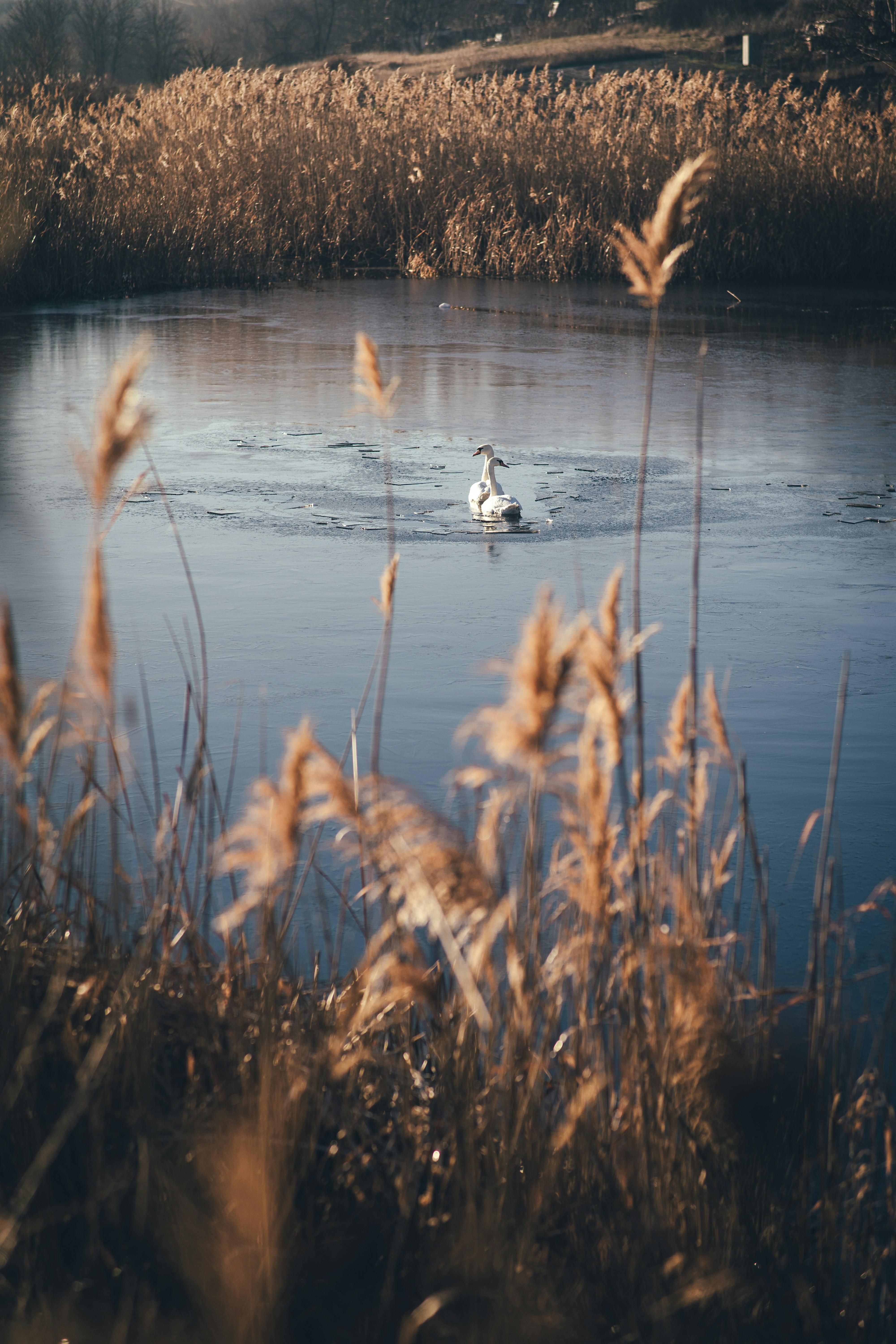 Photo by onmywayhome