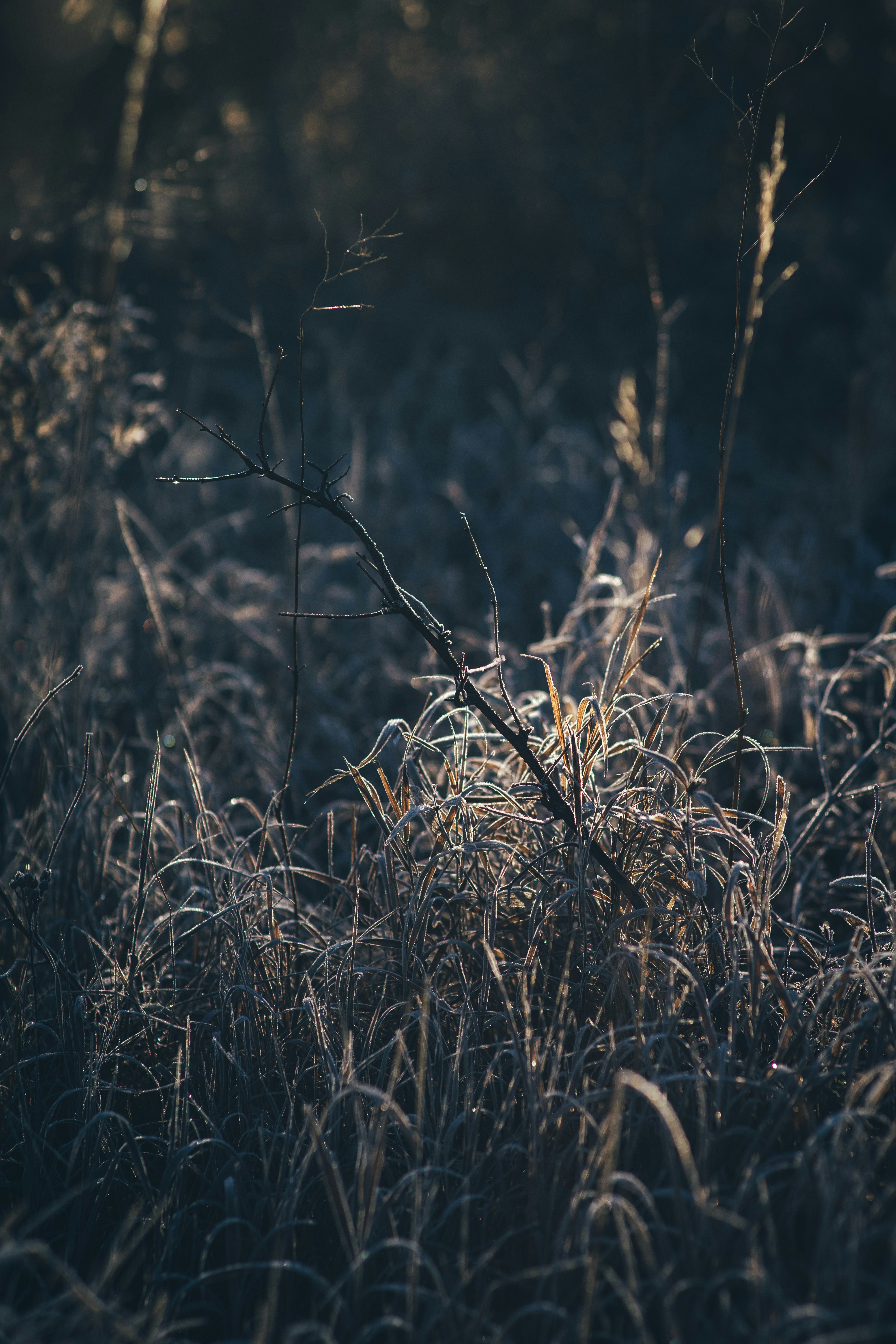 Photo by onmywayhome