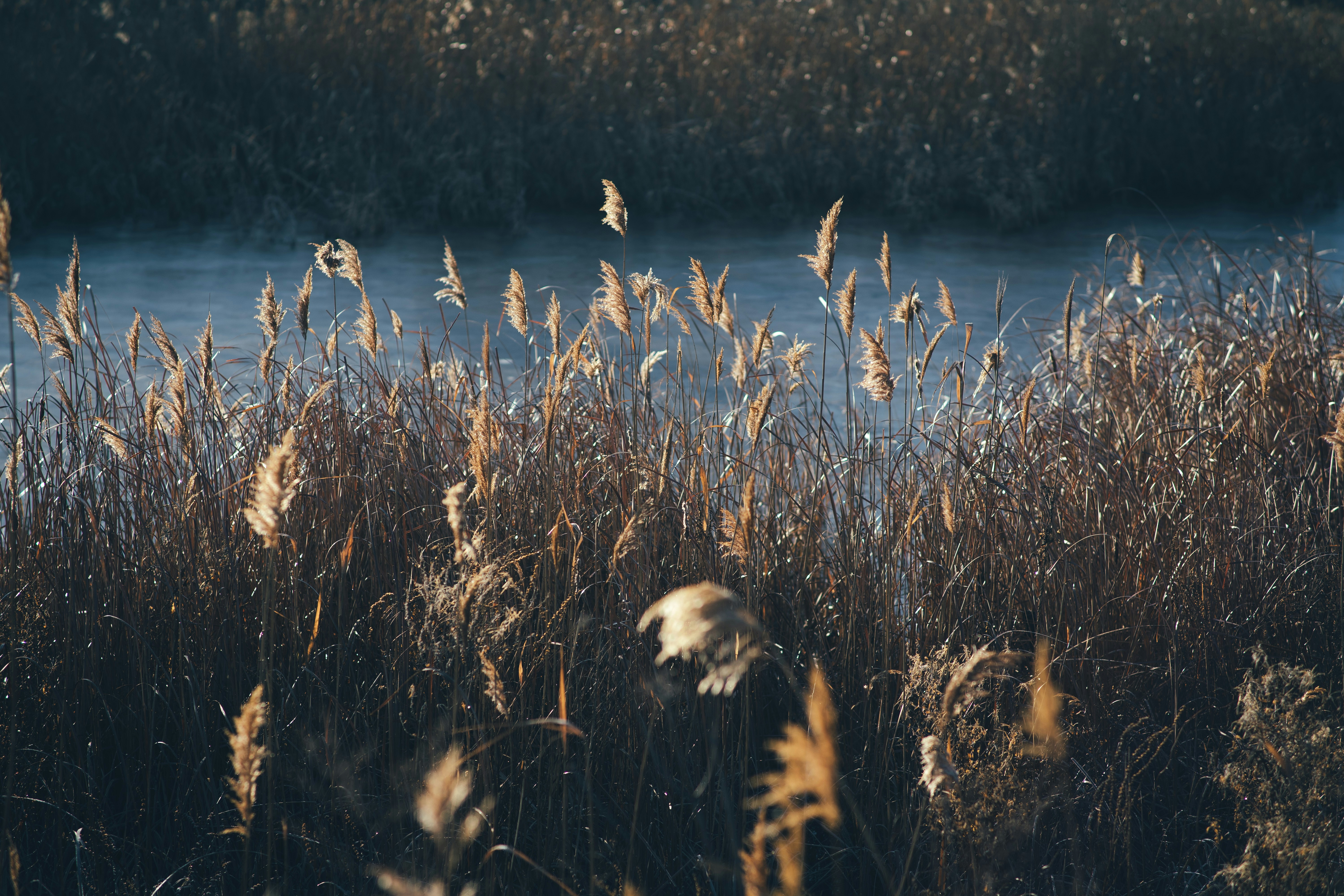 Photo by onmywayhome