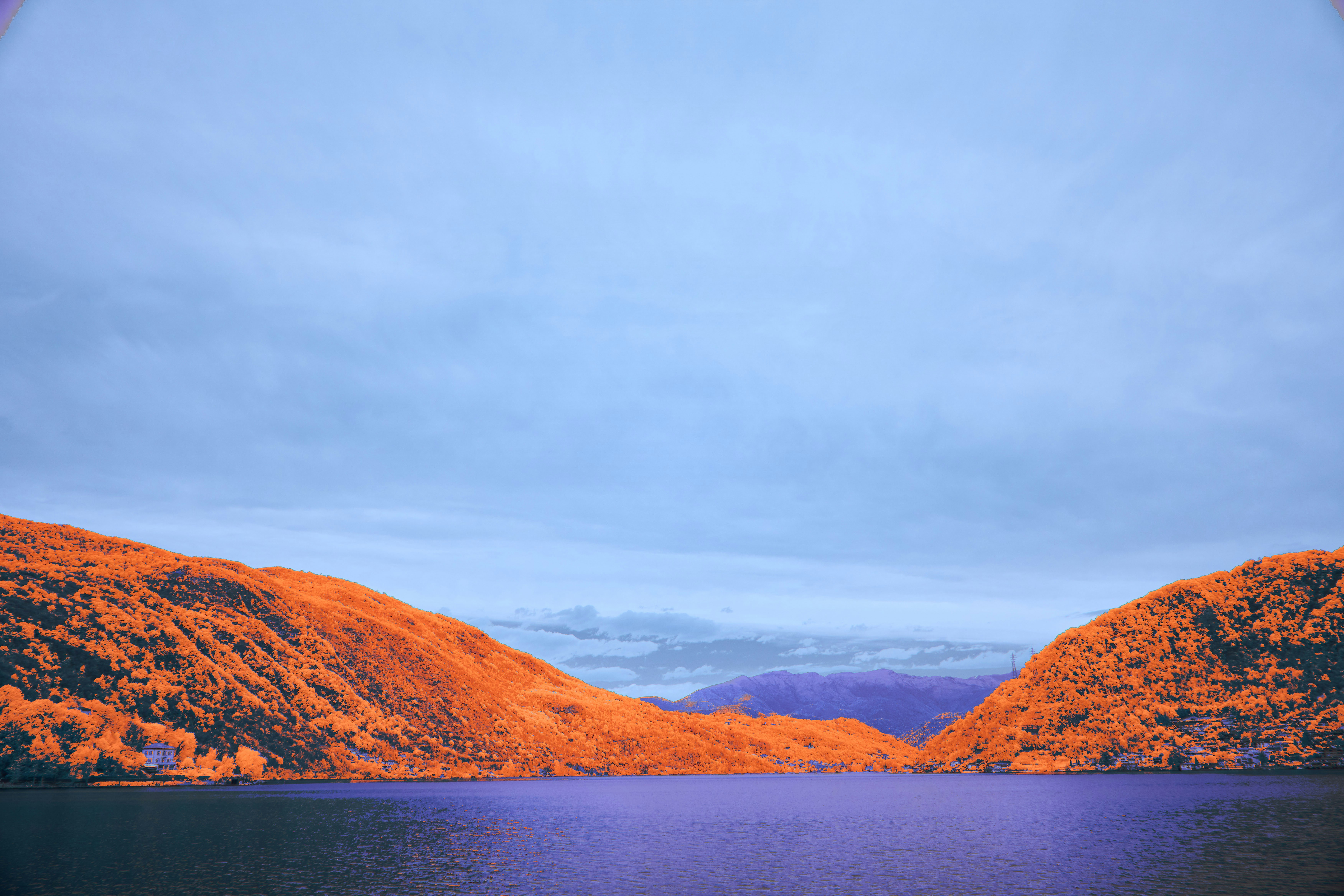 Photo by wolfgang_hasselmann