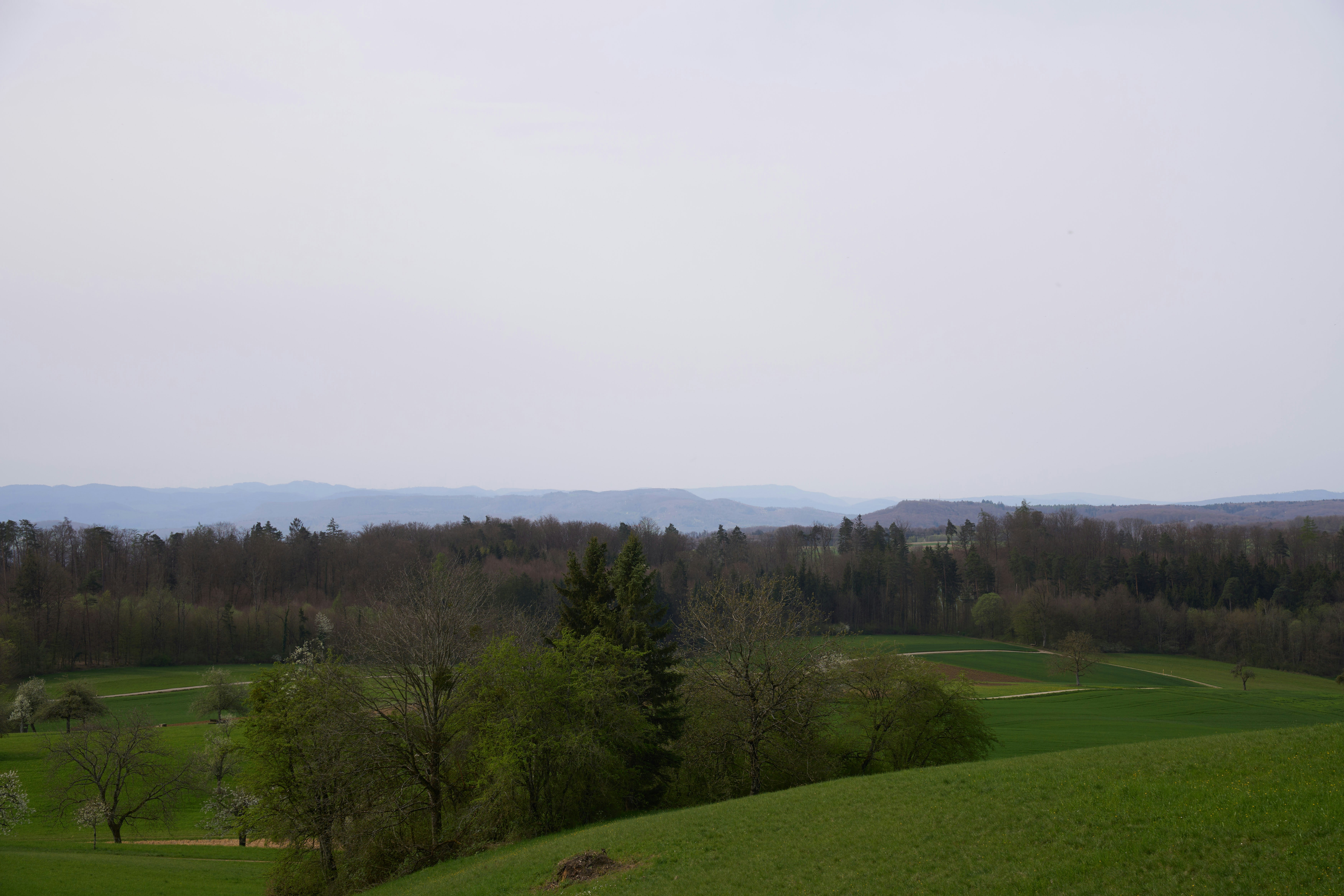Photo by wolfgang_hasselmann