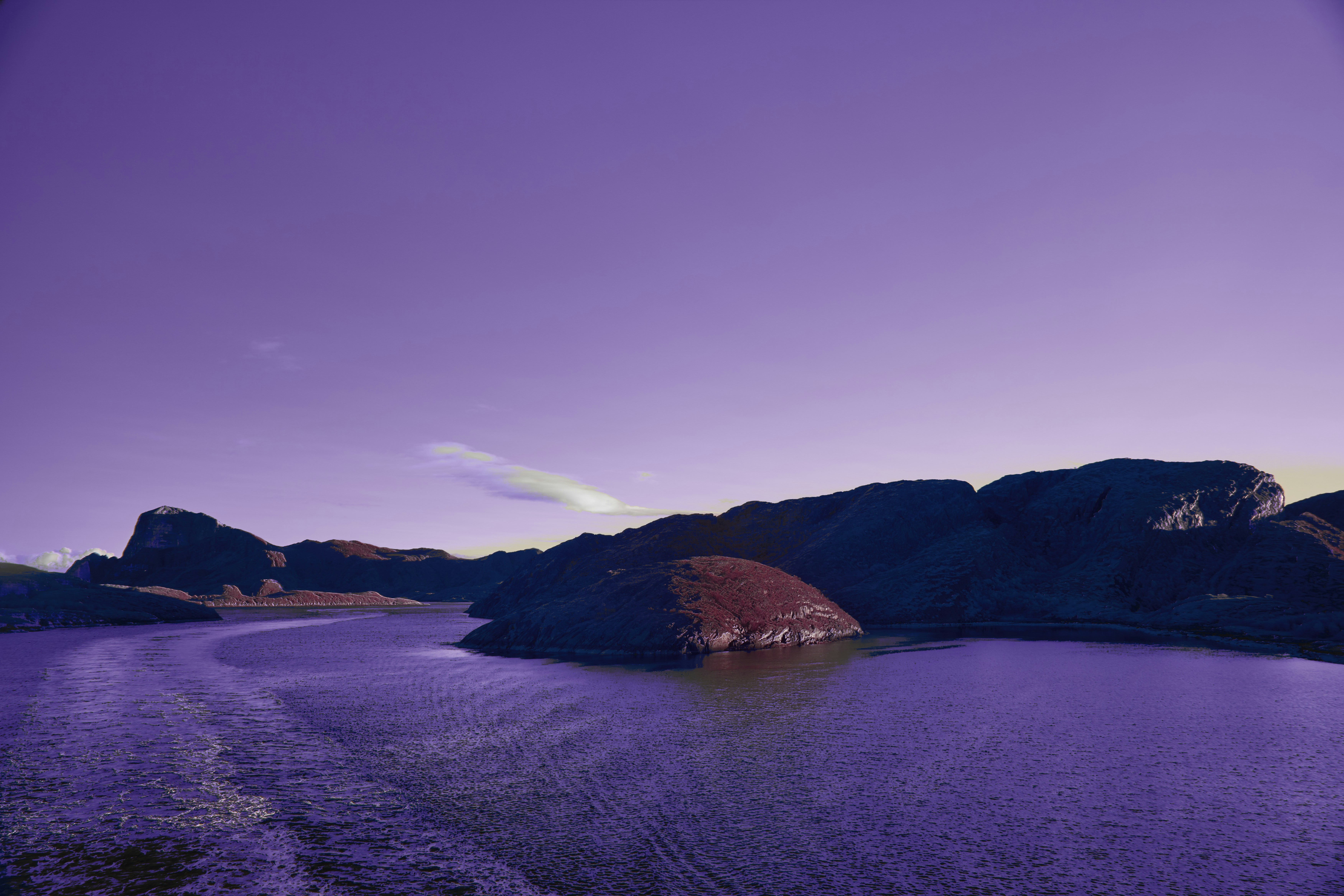 Photo by wolfgang_hasselmann