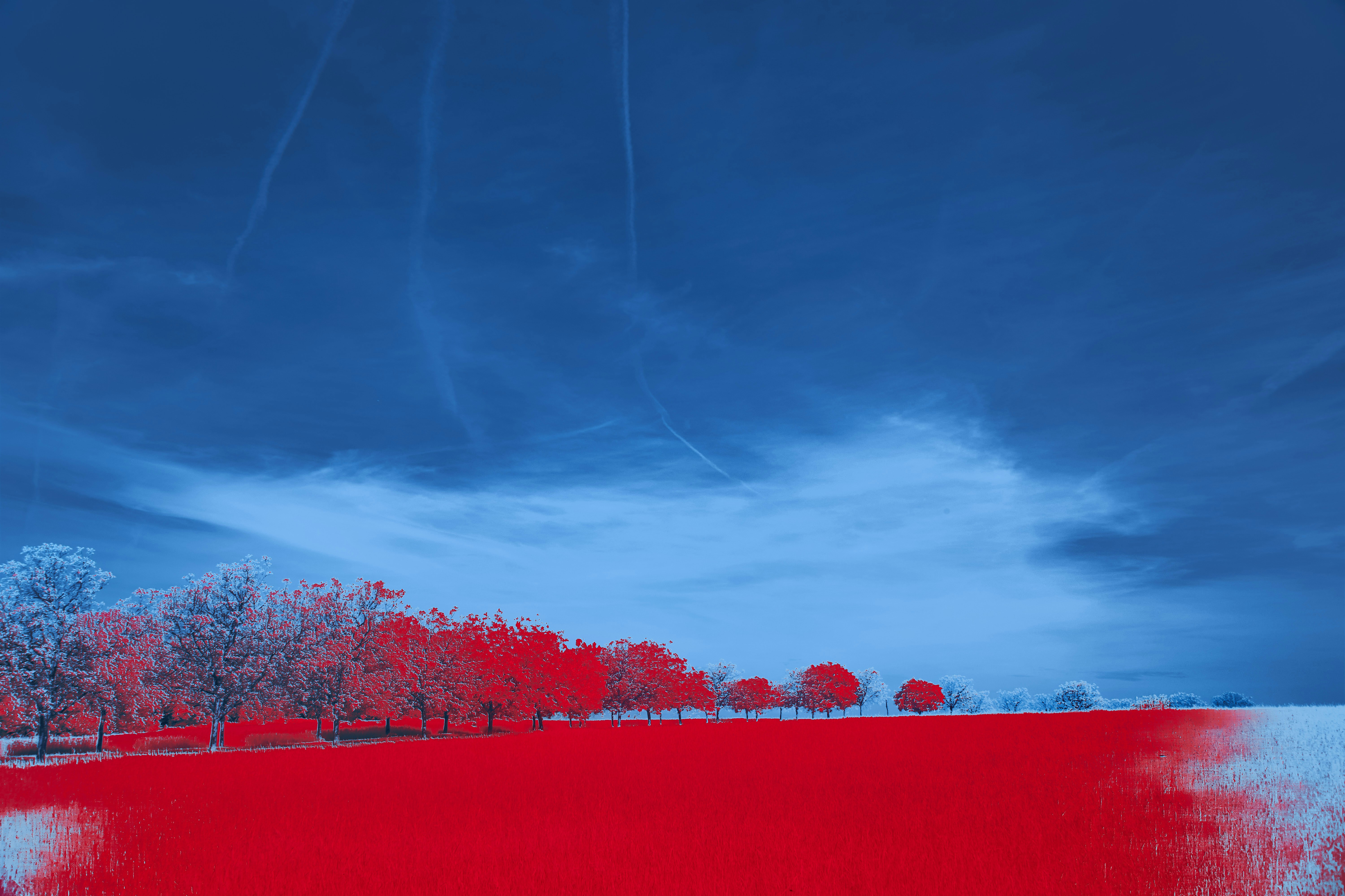 Photo by wolfgang_hasselmann