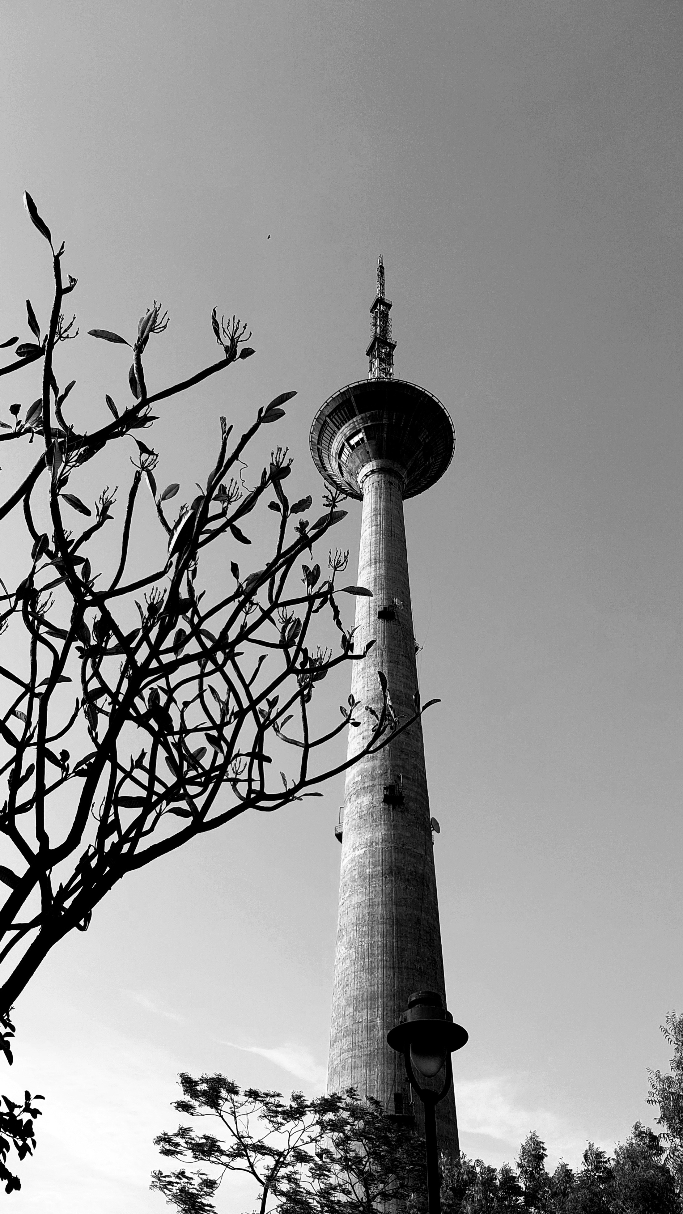 Photo by aestheticsbyava