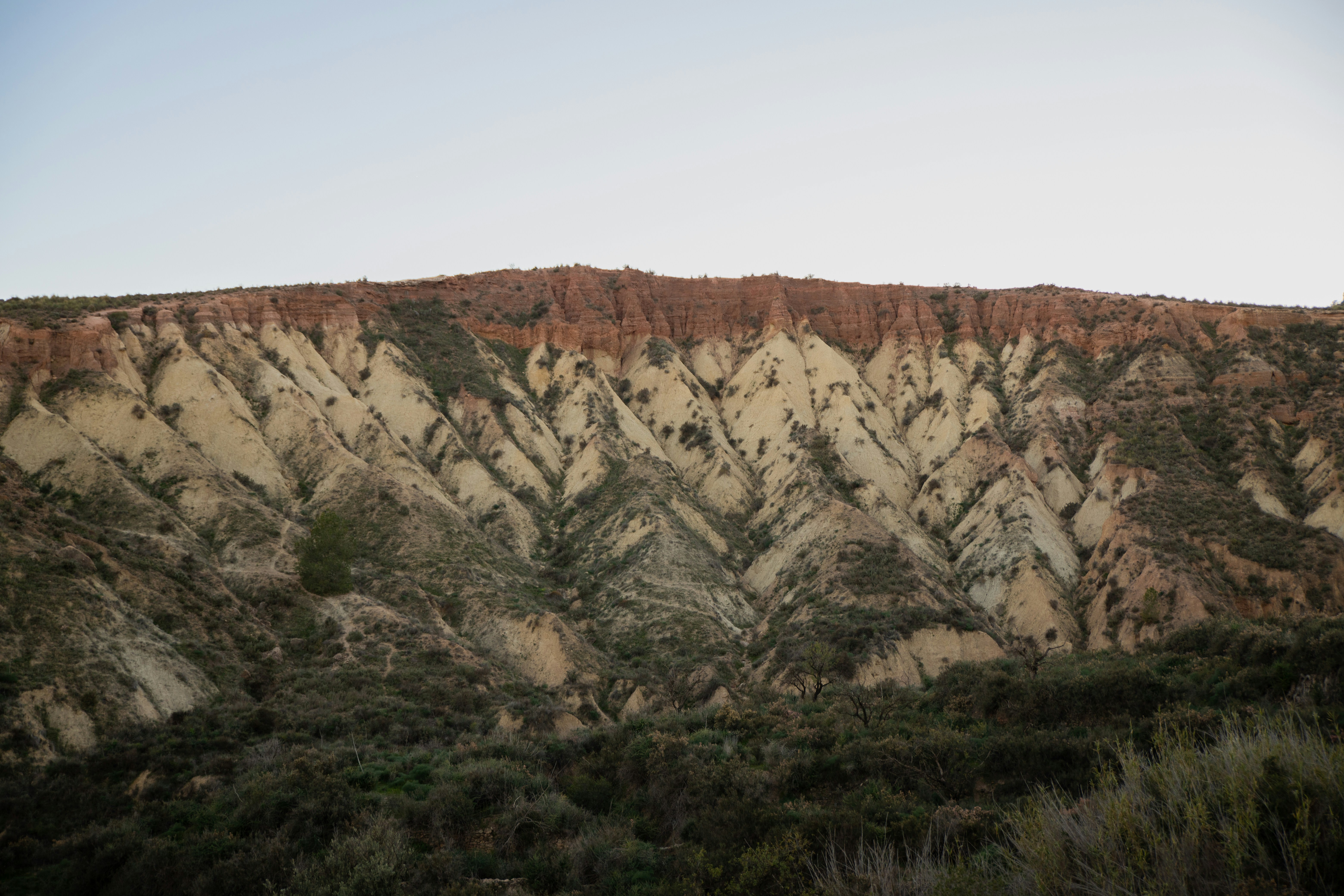 Photo by asr_optical