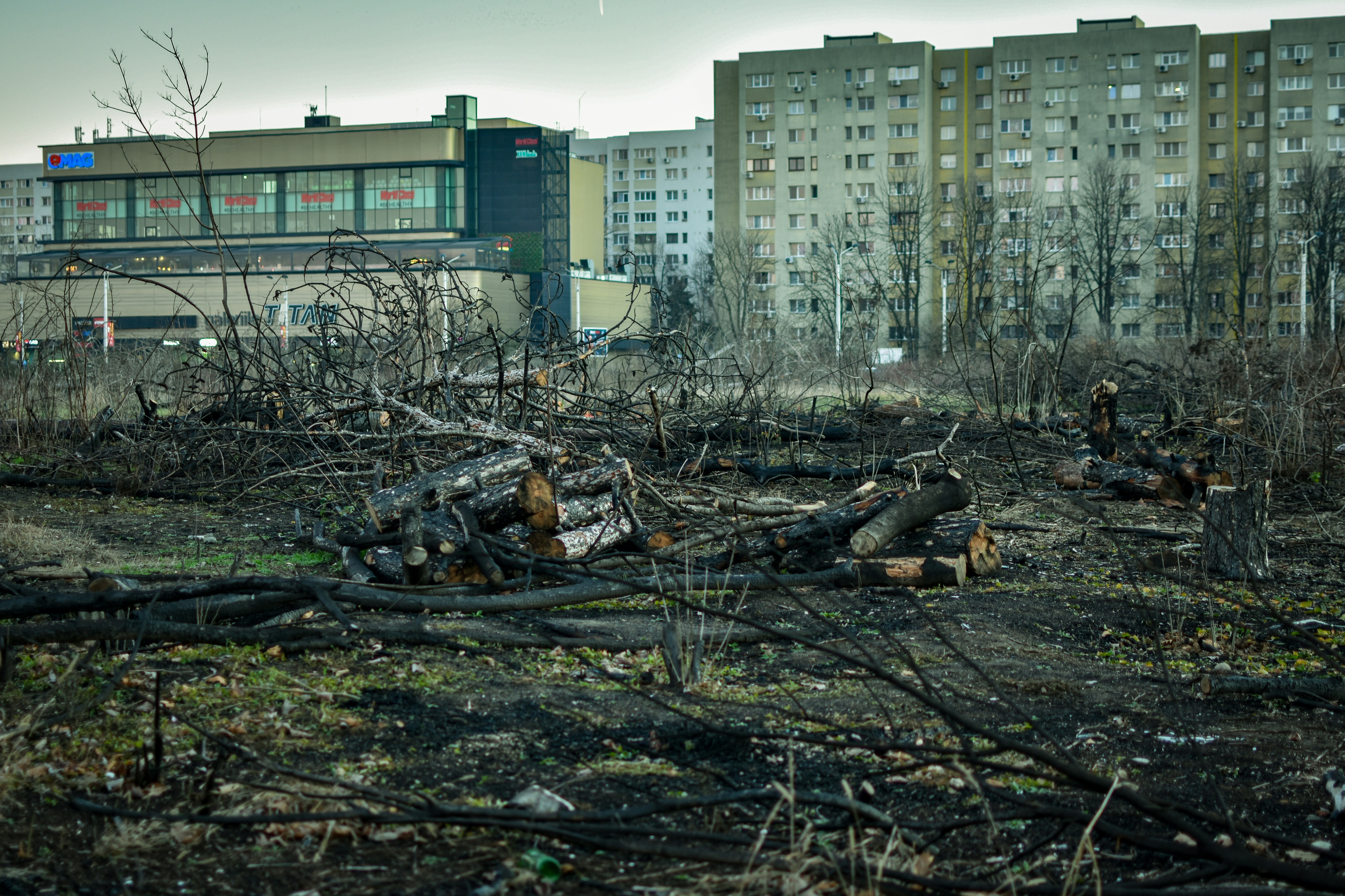 Economic Consequences: The Hidden Cost of Ecosystem Collapse (image credits: unsplash)