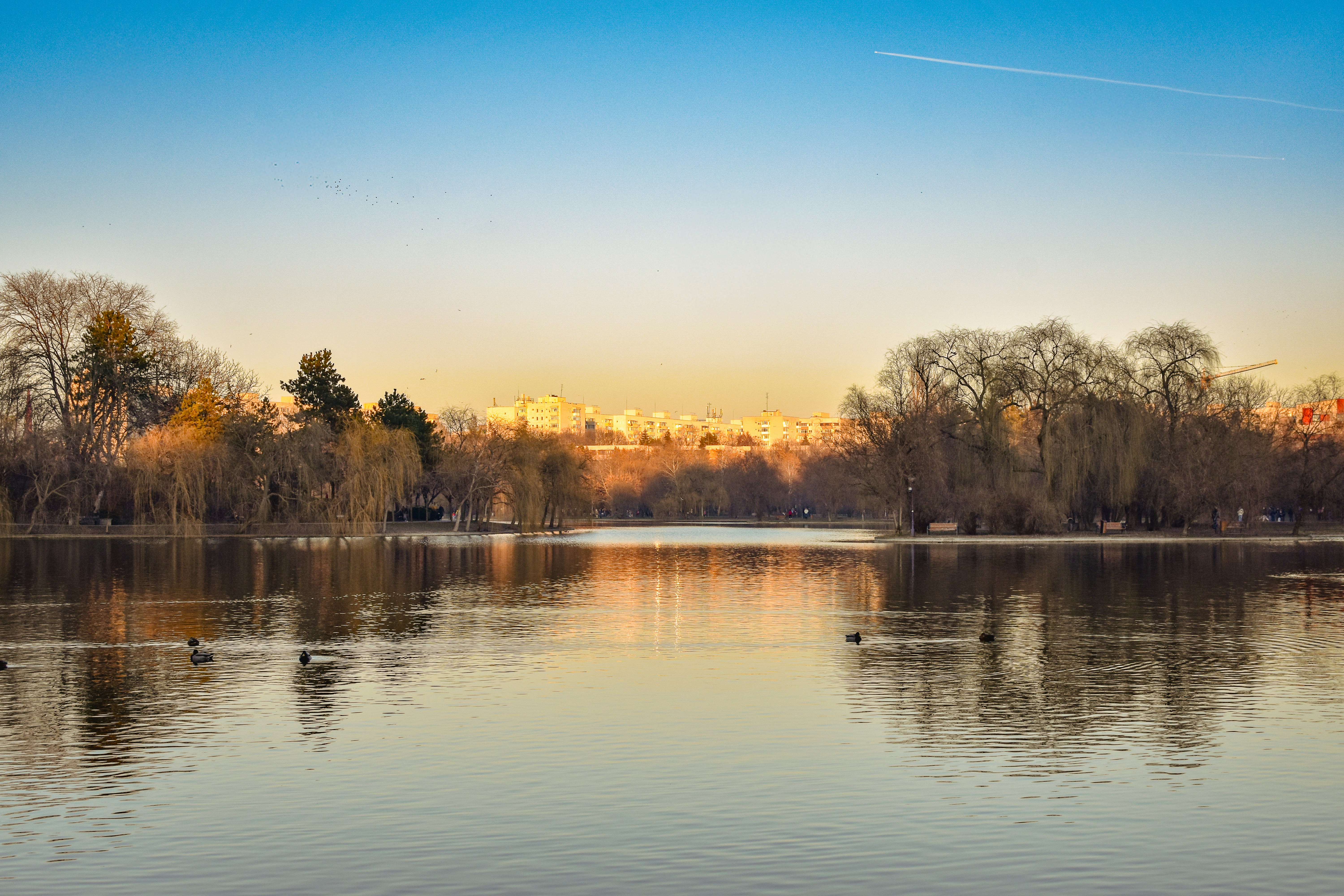 Photo by mirceadrian