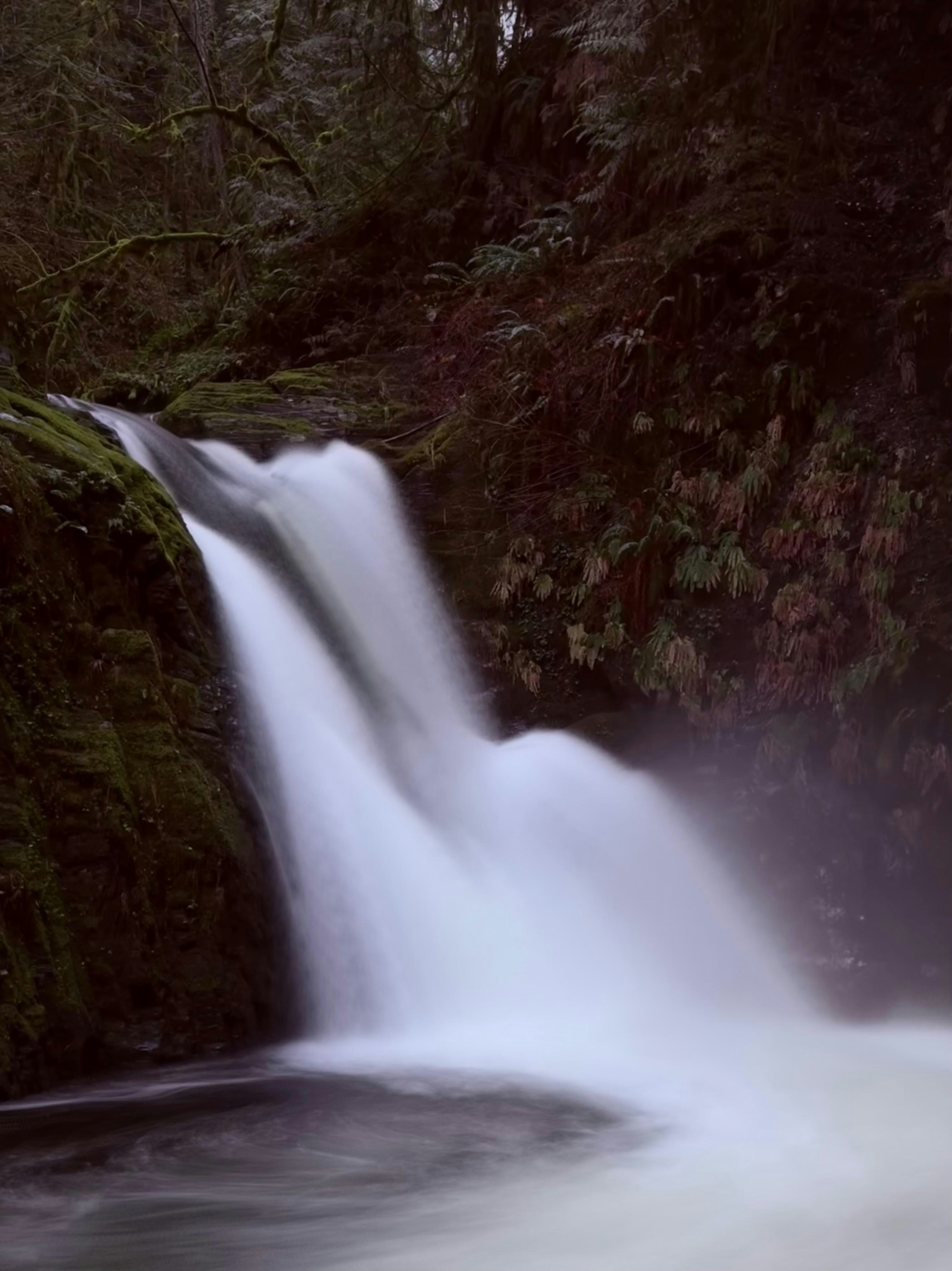 A small waterfall in the middle of a forest