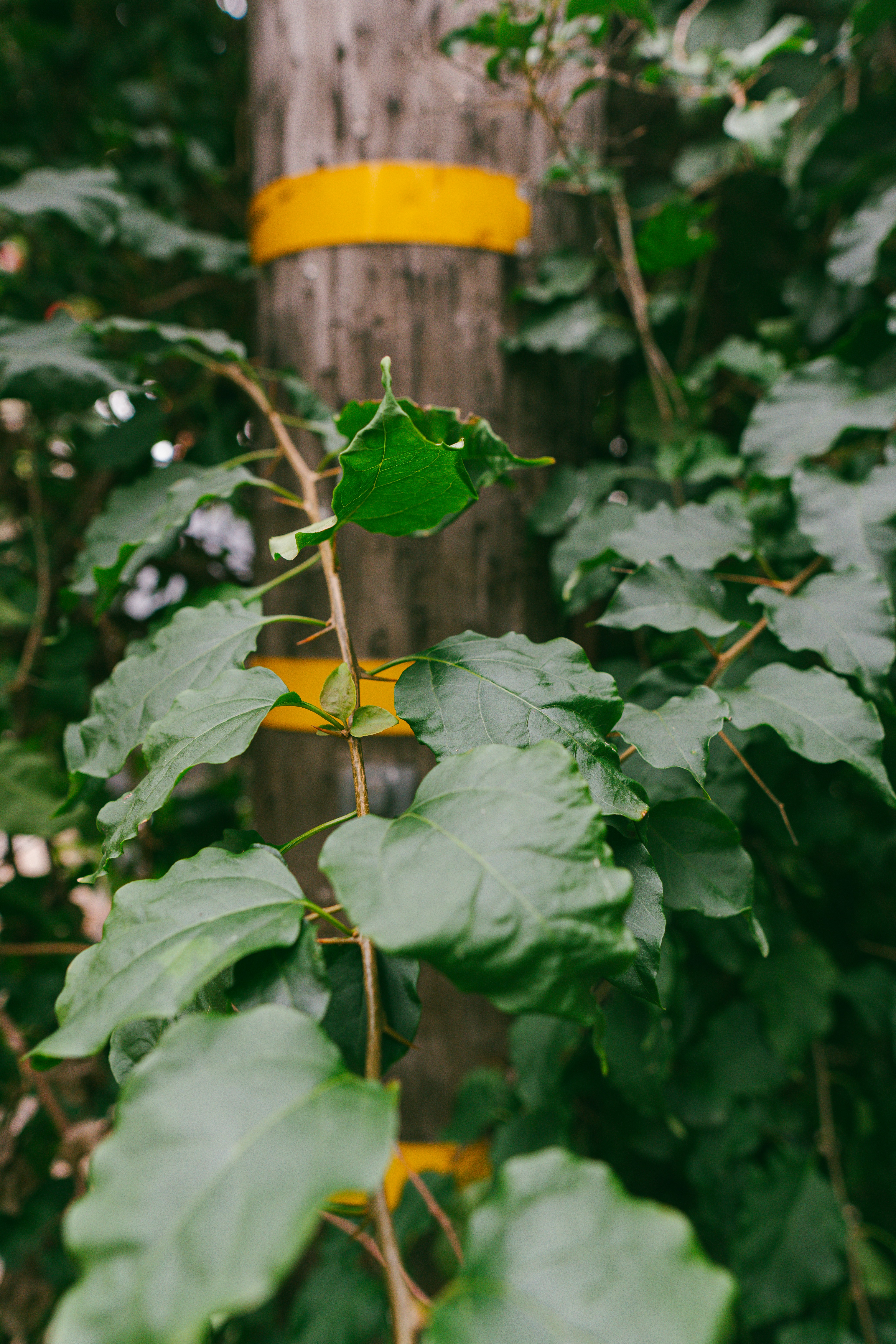 Photo by christopherstites