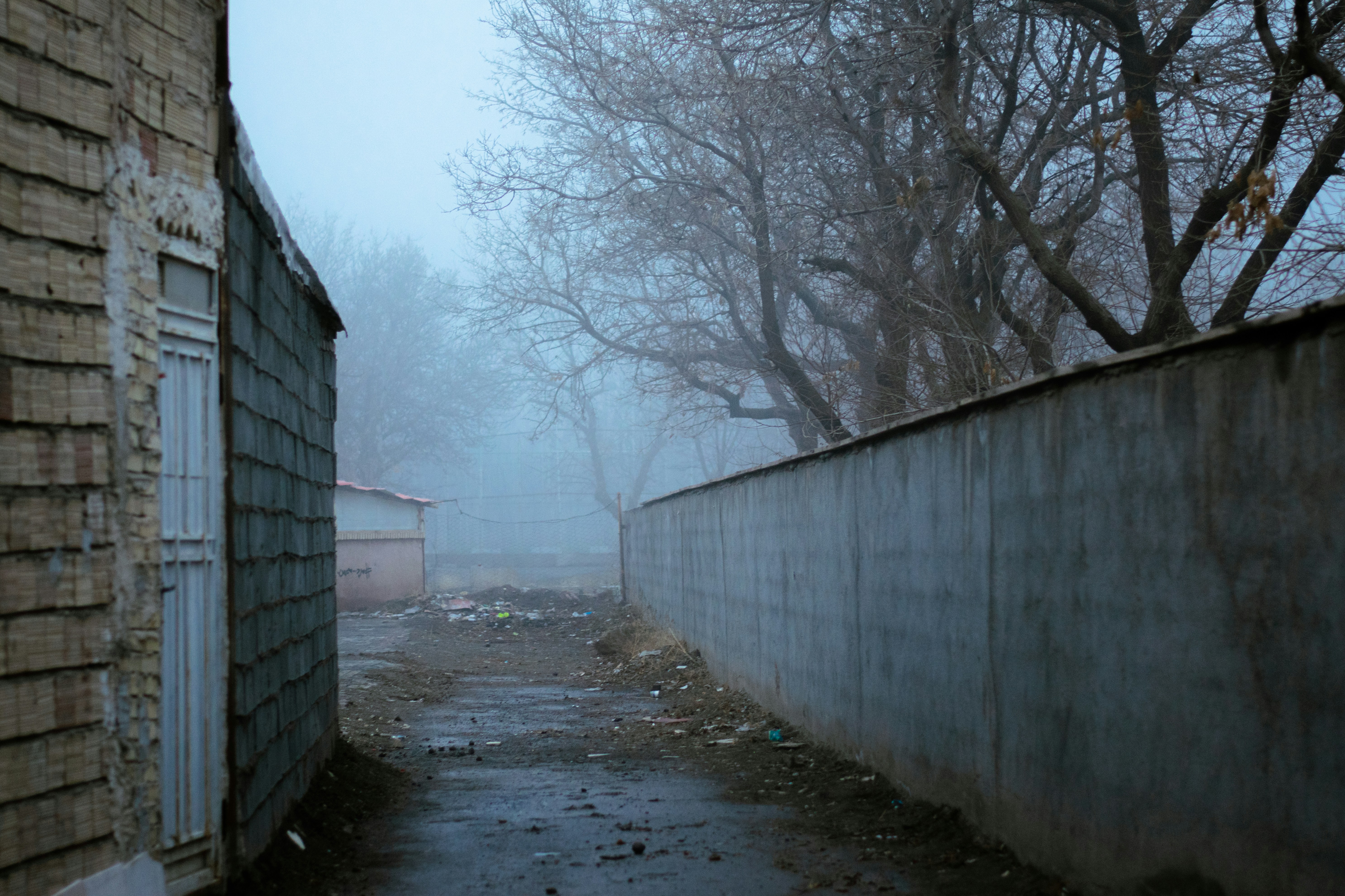 Photo by ilostmyselfout