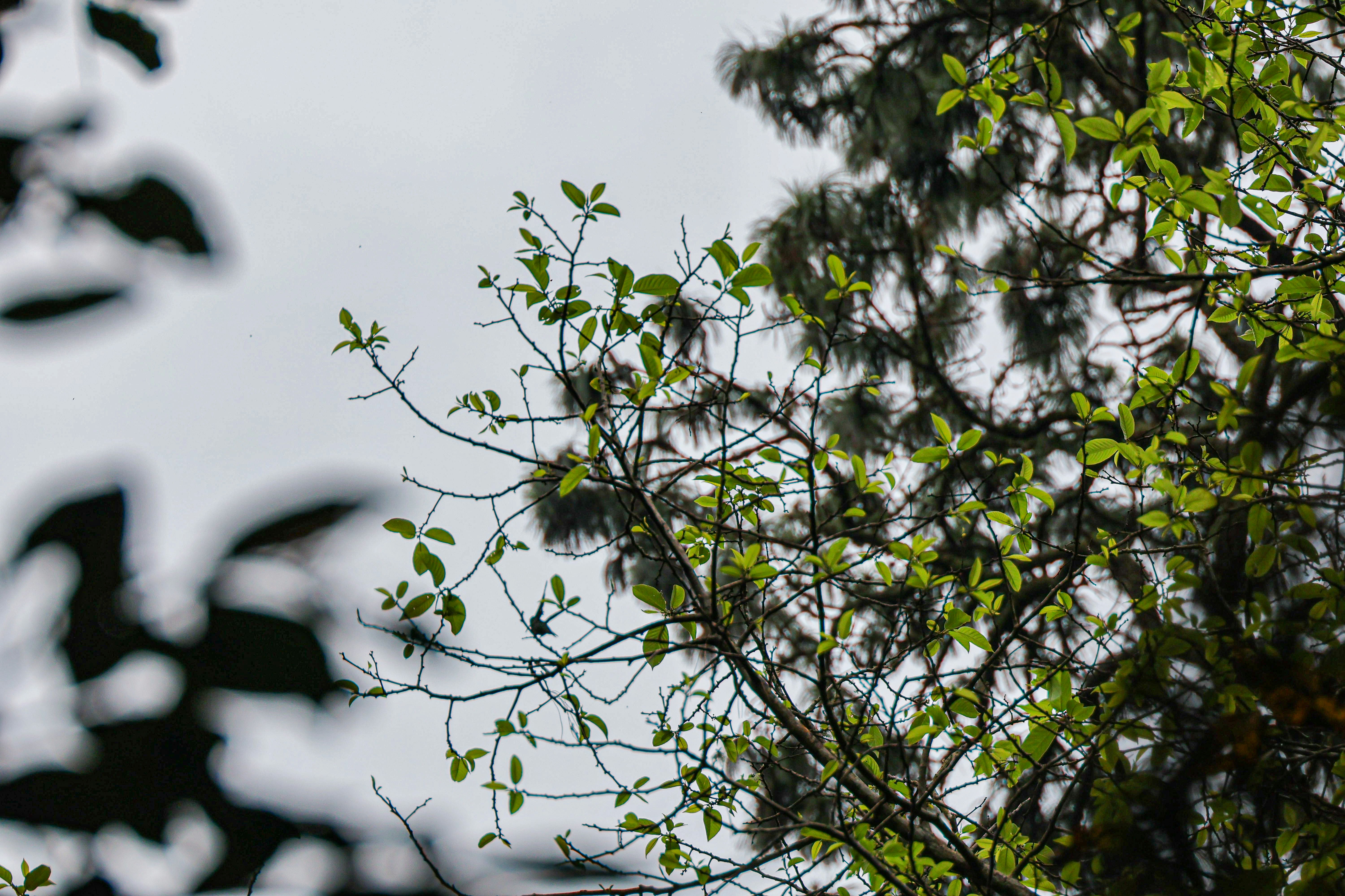 Photo by traveleroohlala