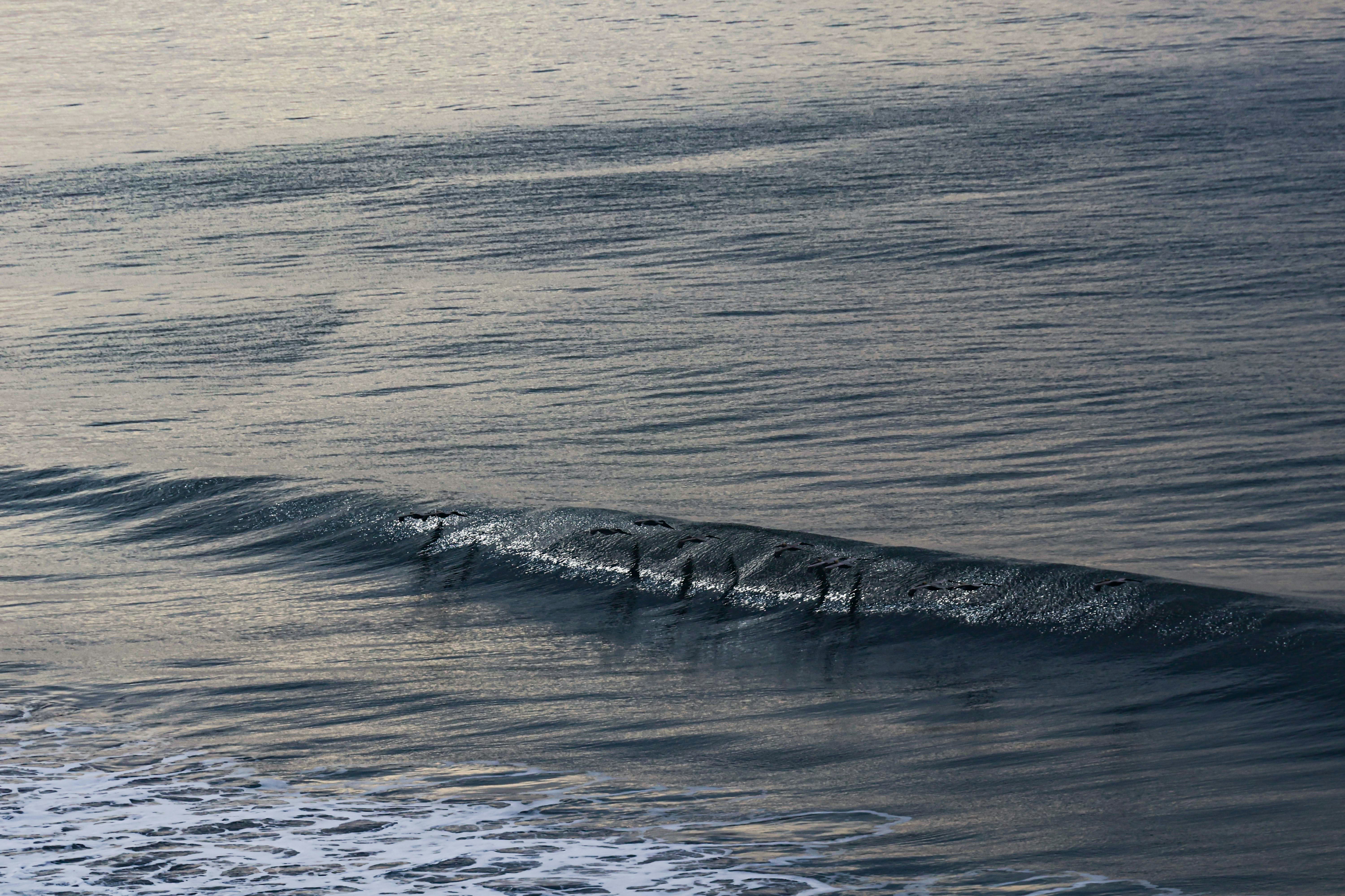 Photo by traveleroohlala