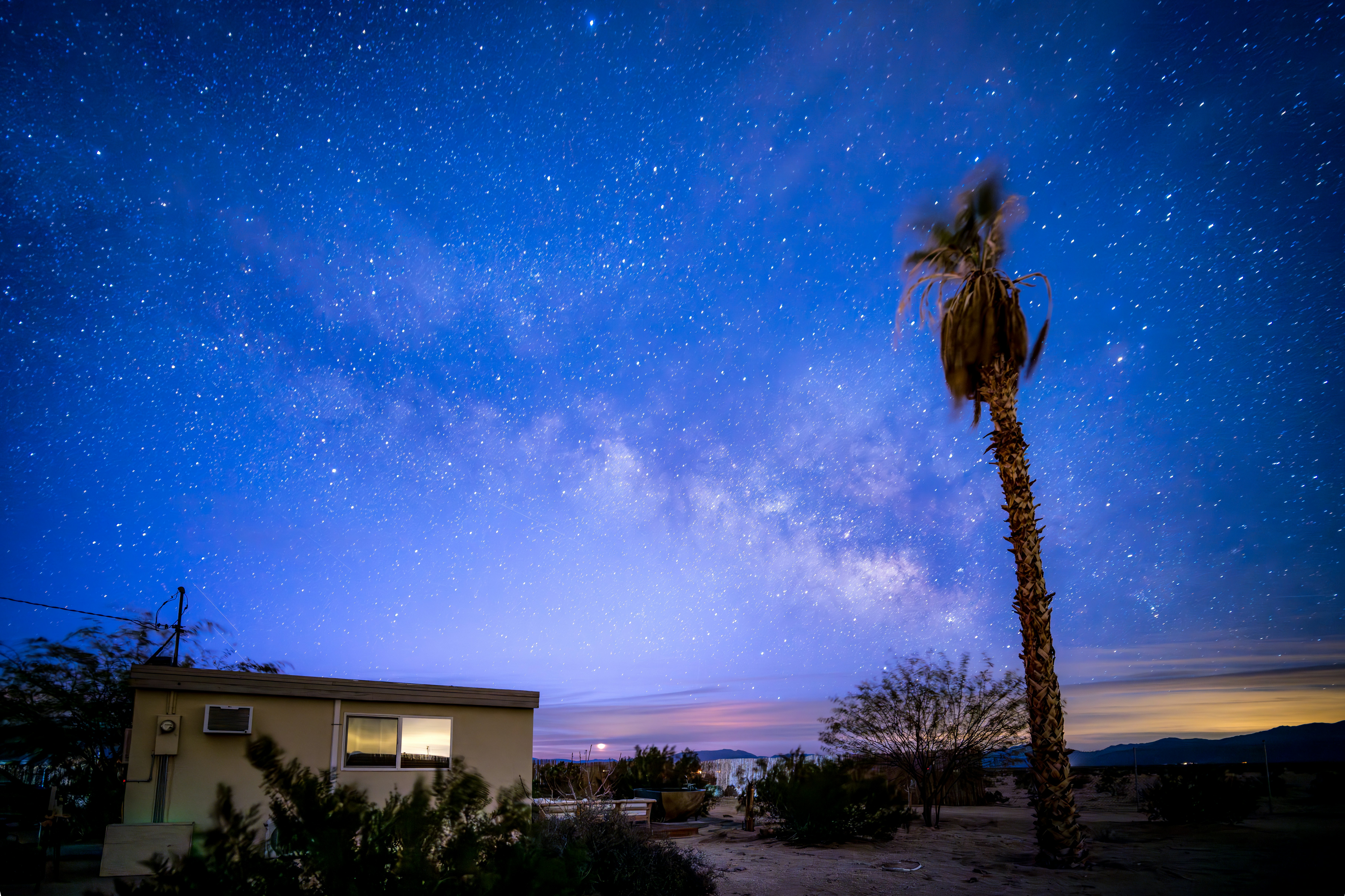 A palm tree in front of a house under a night sky filled with stars