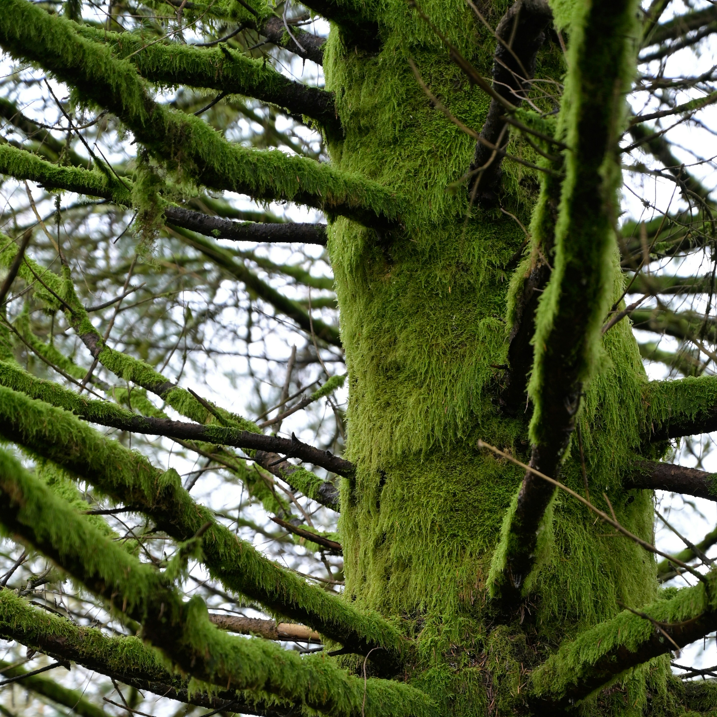 Photo by jonathankslim