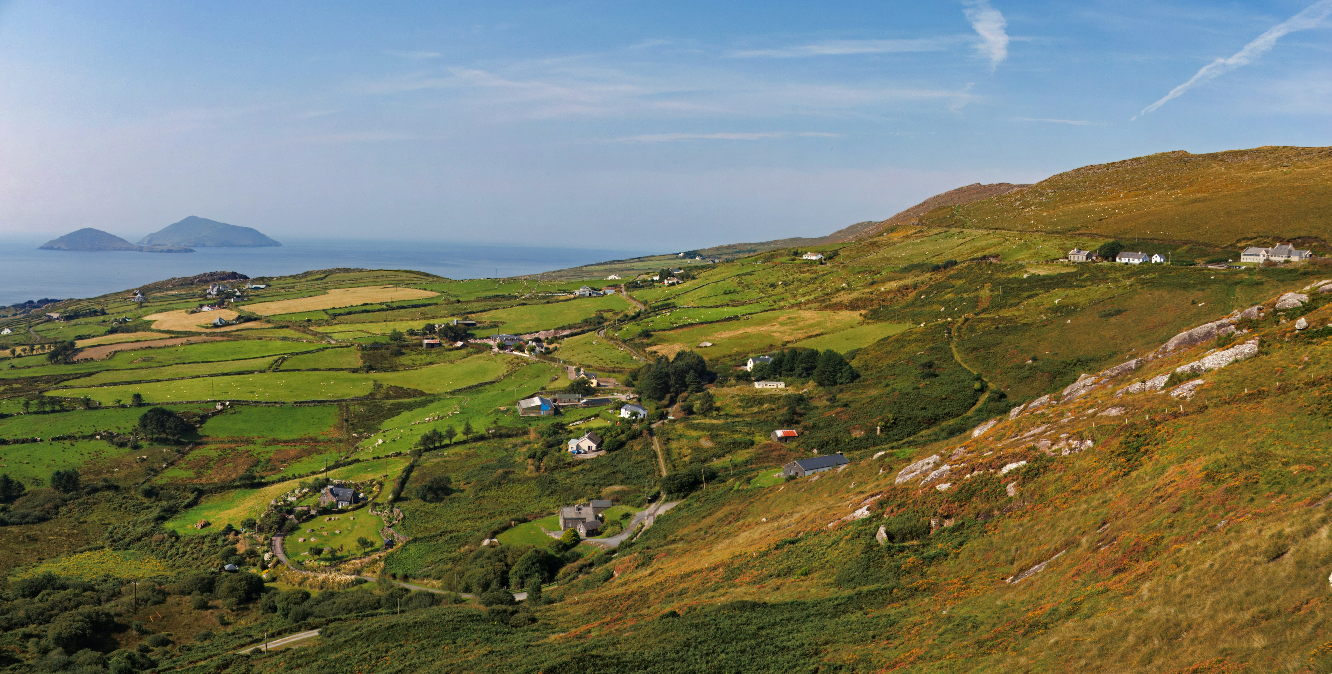 Photo by bullterriere