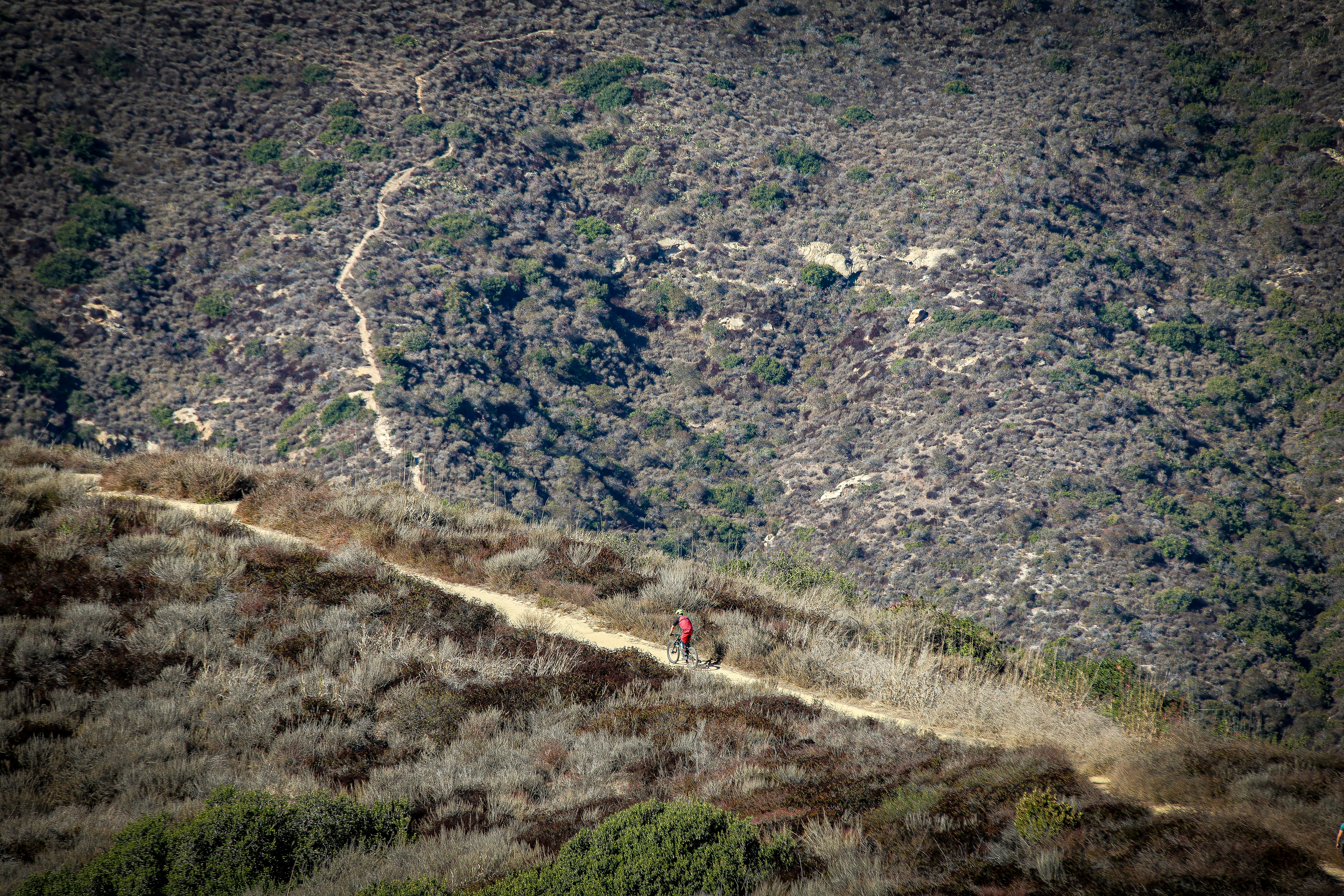 Exploring Florida’s Gulf Coast by Bike: Your Ultimate Guide to 30A