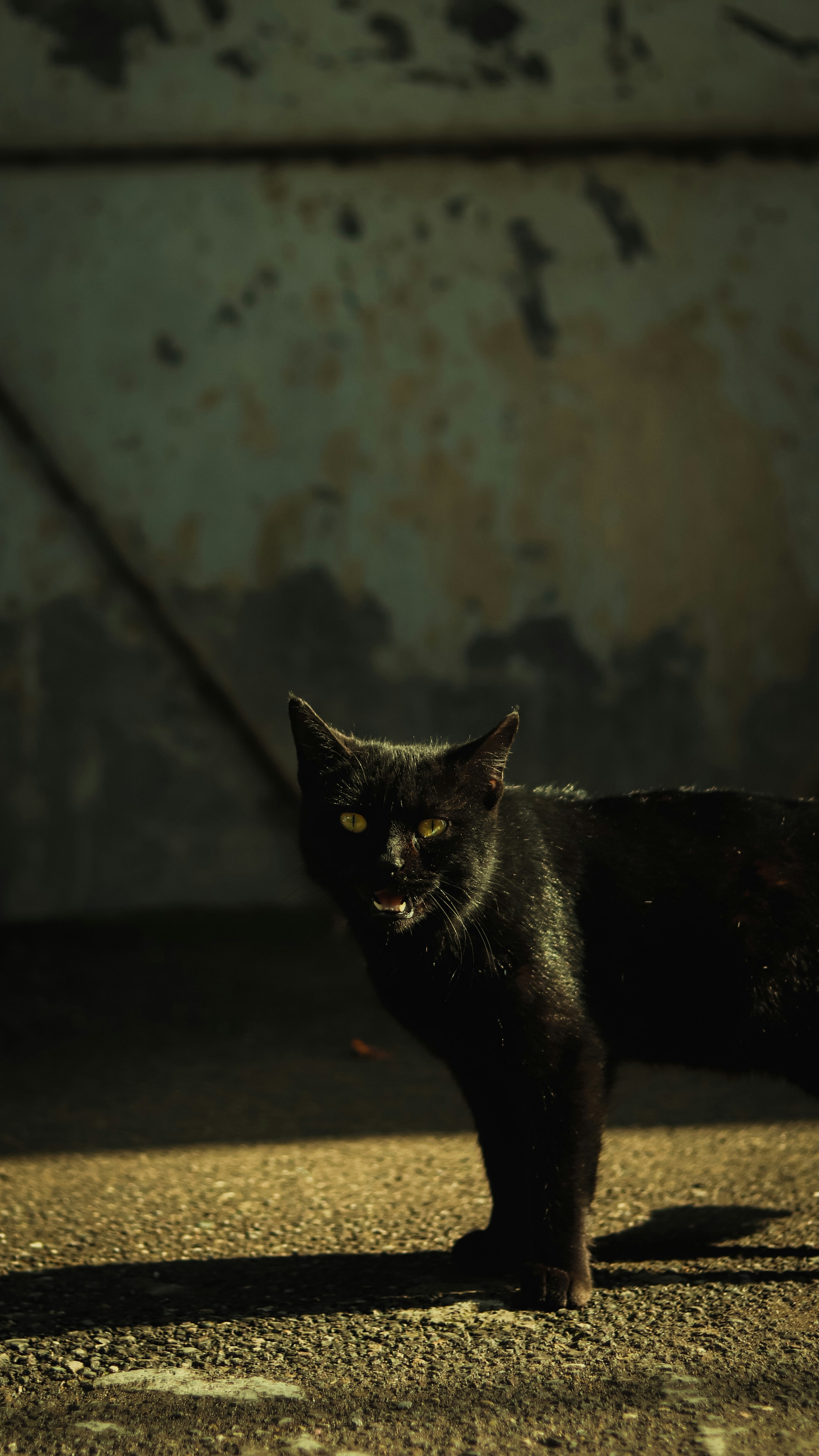 Photo by alireza_hashemi